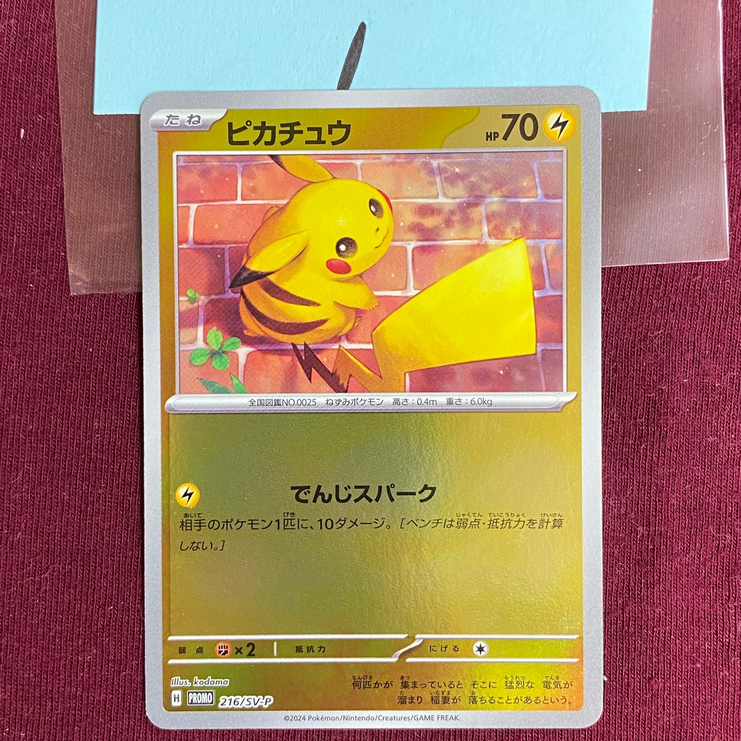 PSA10】ピカチュウ P [SV-P 216](プロモカードパック「ポケカの夏が