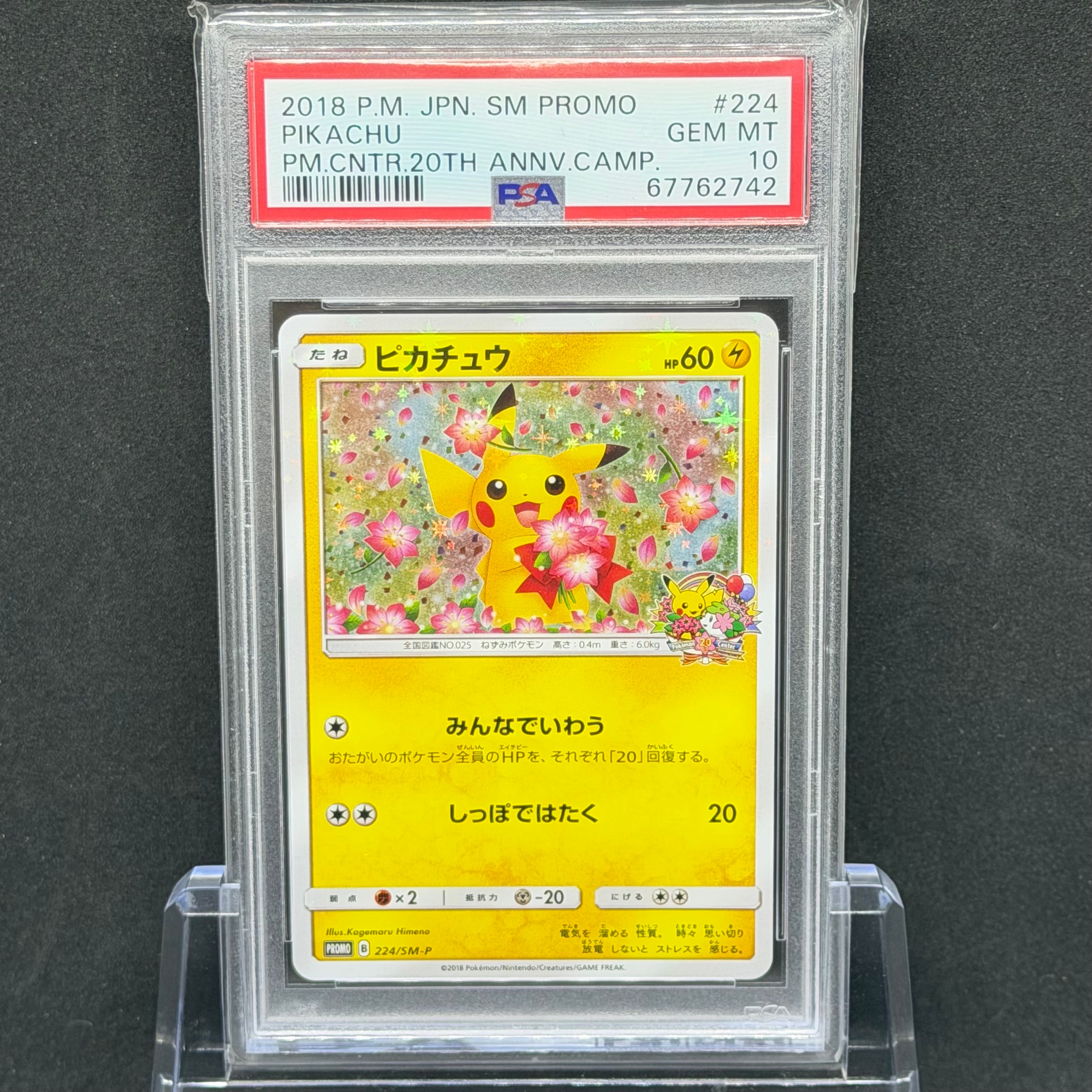 ピカチュウ: プロモ[SM-P 224](プロモーションカード「SM-P」)
