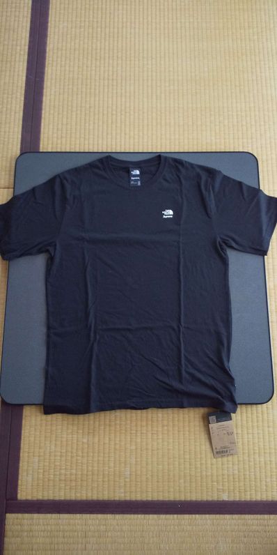 Supreme x The North Face Mountains Tee "Black"