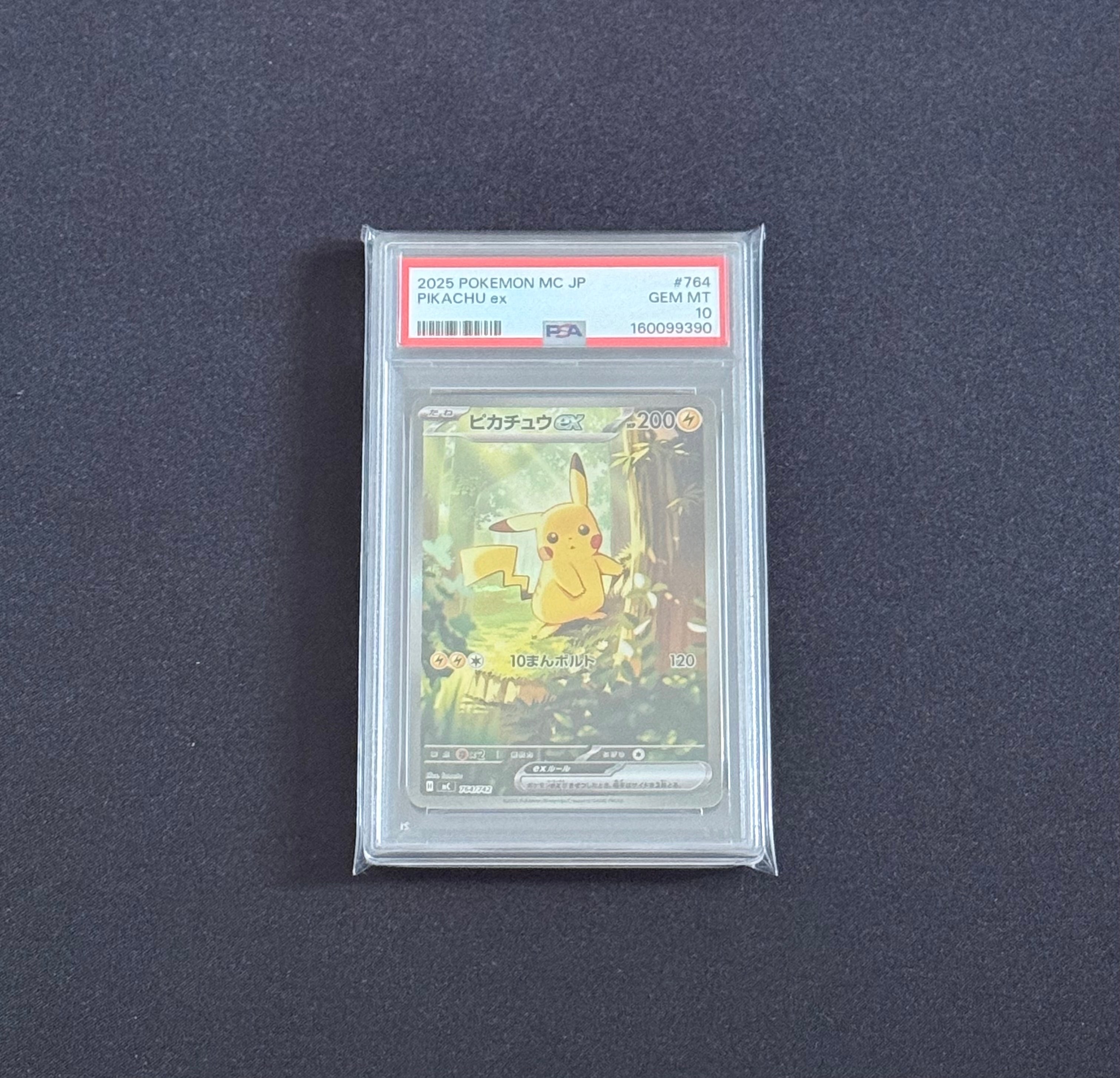 ARS10】ヒノアラシ P [PCG-P 029](プロモーションカード「マクドナルド