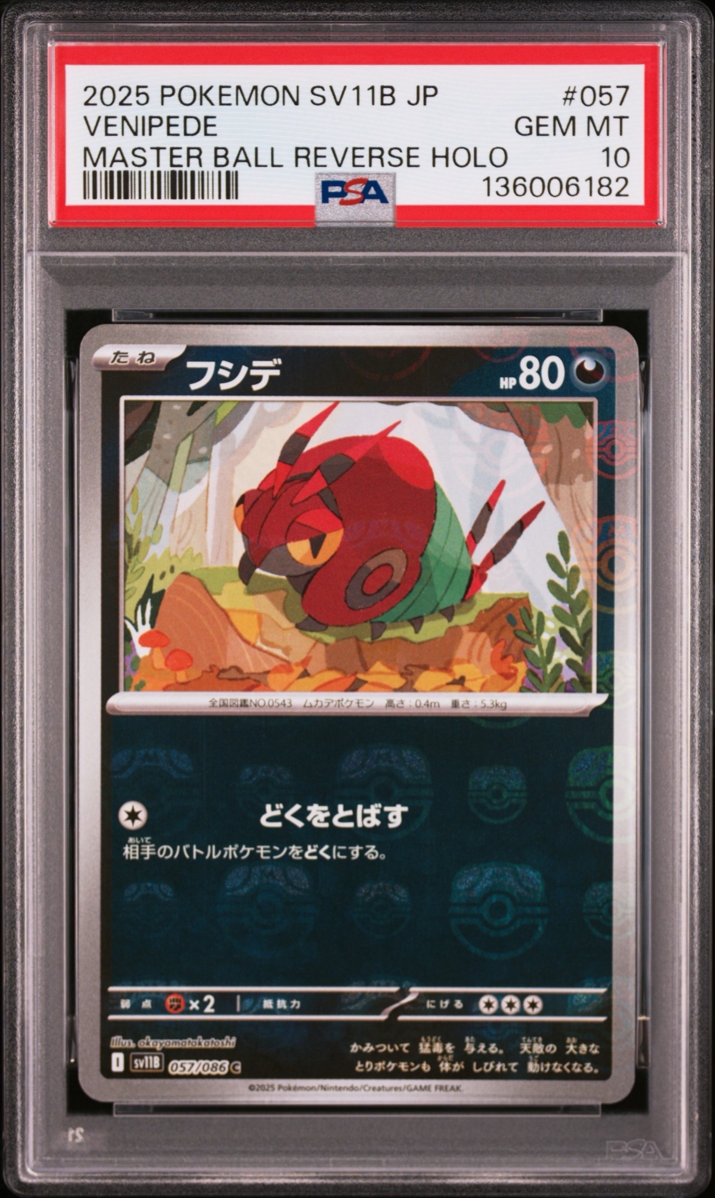 フシデ C :マスターボールミラー [SV11B 057/086](拡張パック「ブラックボルト」)