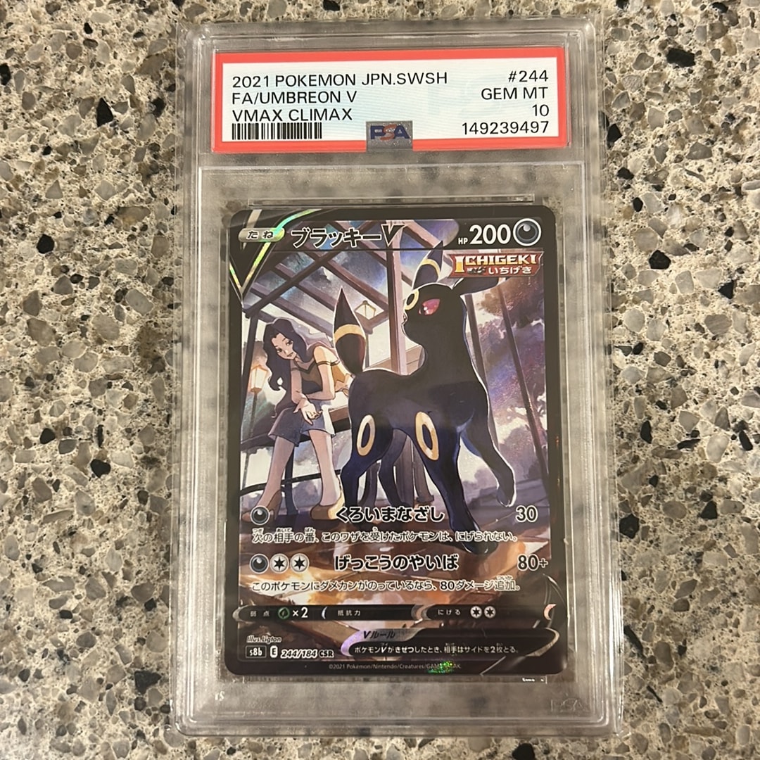 PSA10】ブラッキーV CSR S8b 244/184 ブラッキーV CSR PSA10