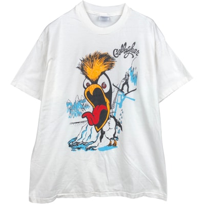 古着 90年代 ヘインズ Hanes BEEFY-T プリントTシャツ USA製 メンズXL相当 ヴィンテージ 両面プリント/eaa642035
