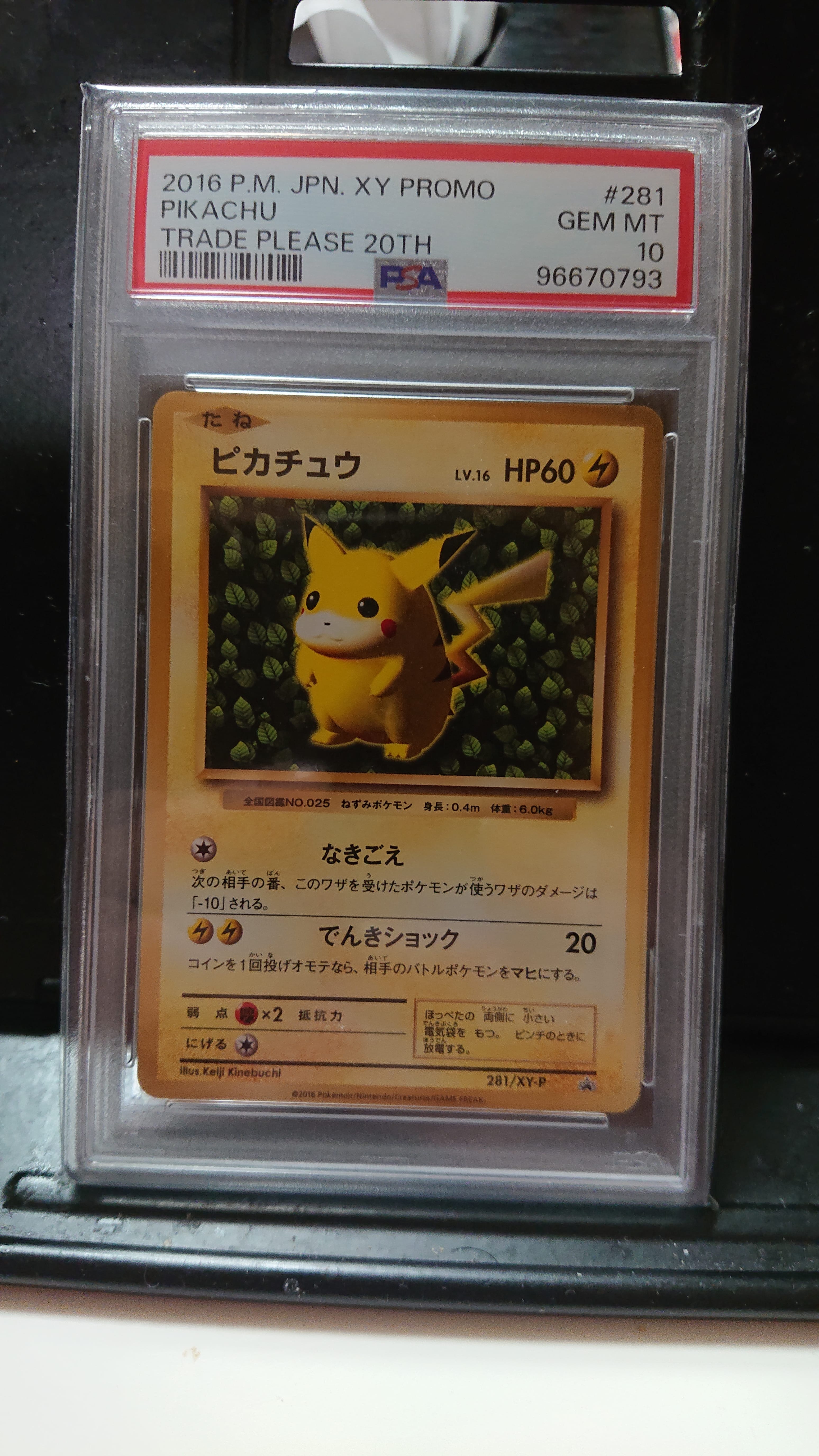 ピカチュウ: プロモ[XY-P 281/XY-P](プロモーションカード「XY-P」)