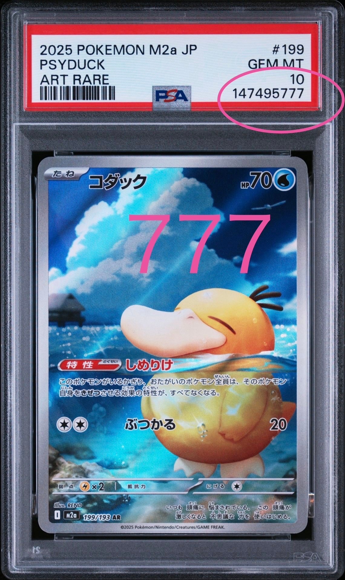 コダック AR [M2a 199/193](ハイクラスパック「MEGAドリームex」)の
