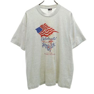 FRUIT OF THE LOOM 90s 半袖 シングルステッチ Tシャツ