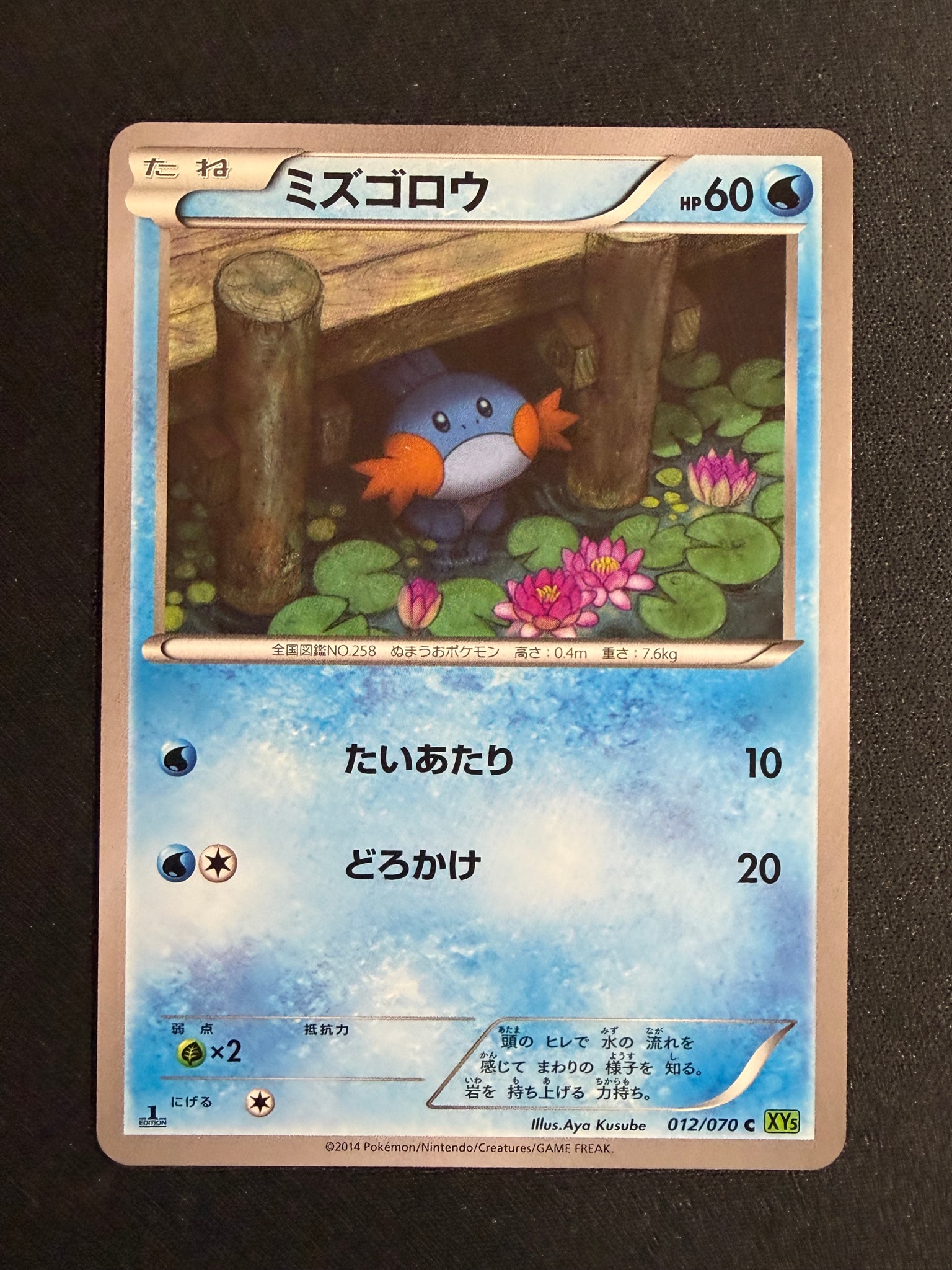 PSA10】ラプラス ☆ : 旧裏 [PMCG3 No.131](拡張パック「化石の秘密