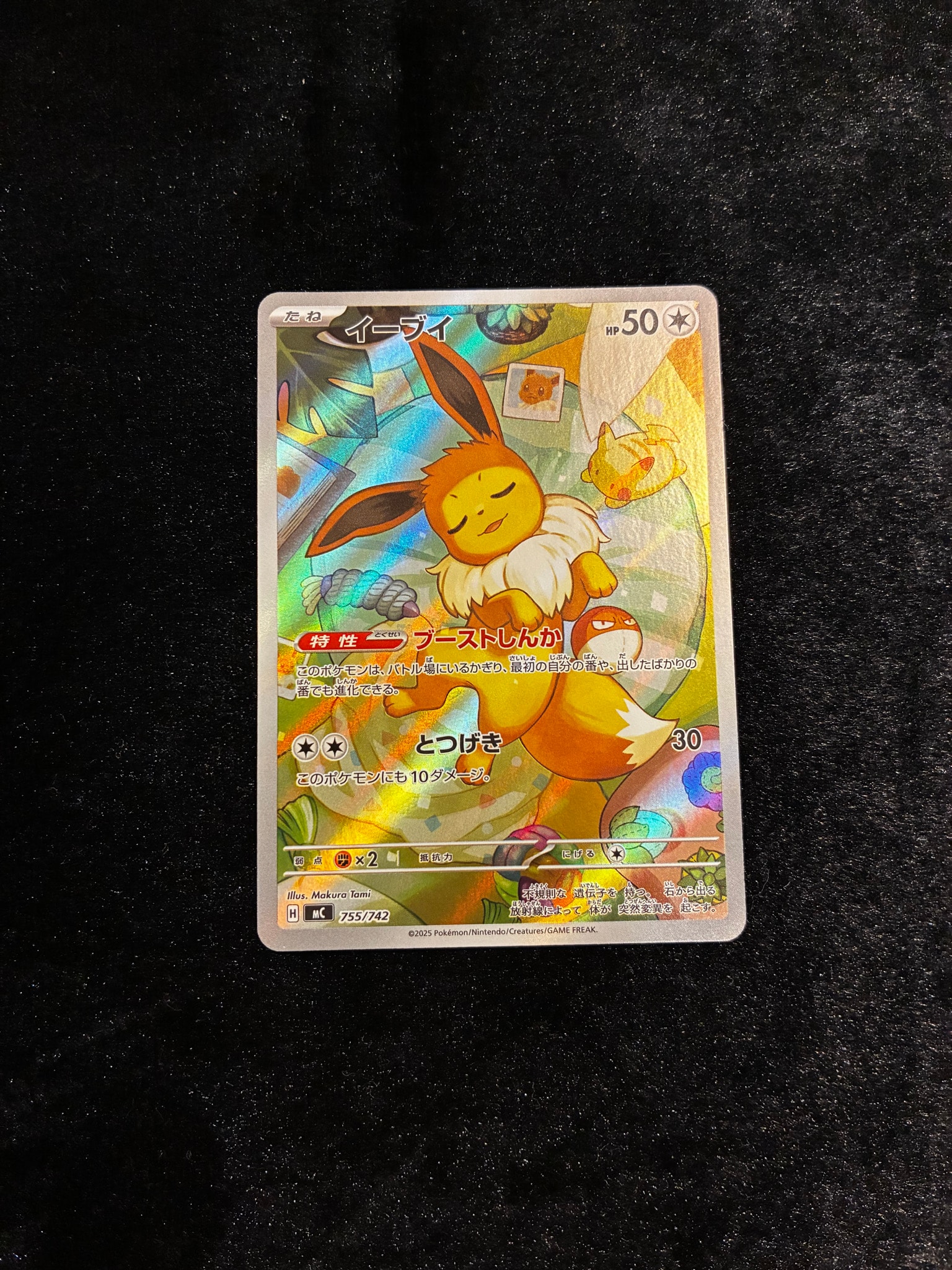イーブイ AR仕様 [MC 755/742](スタートデッキ100「バトルコレクション