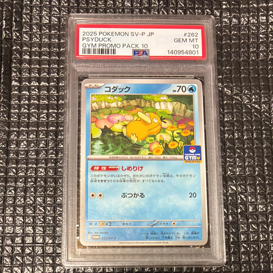 PSA10 コダック ジムプロモ SV-P 262 ポケモンカード 2025 Pokemon Japanese Sv-p Promo 262 Psyduck Gym Promo Pack 10 PSA