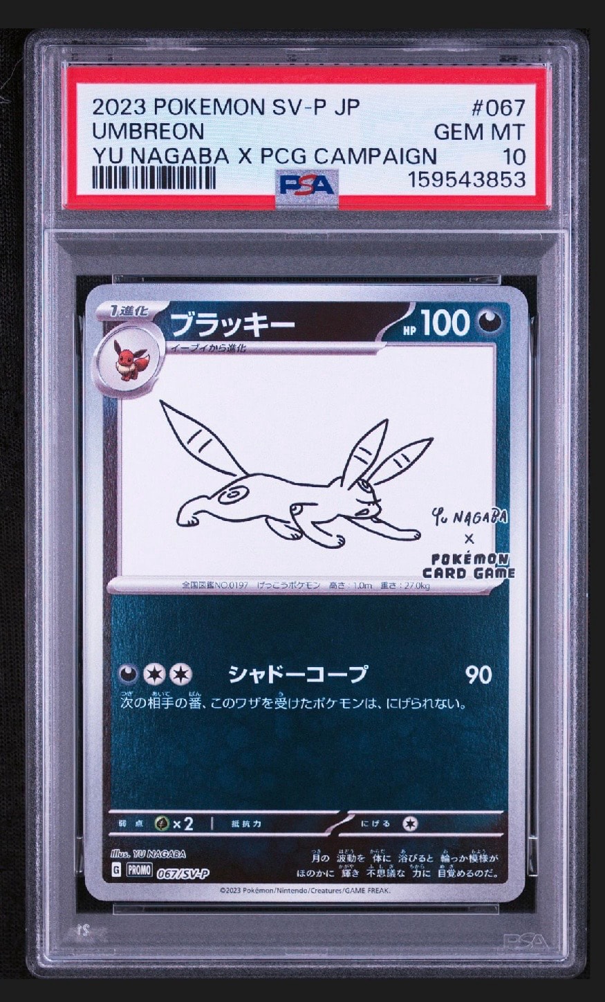 ブラッキー: プロモ (ナガバブラッキー) [SV-P 067](「YU NAGABA×ポケモンカードゲーム」プロモーションカード「SV-P」)