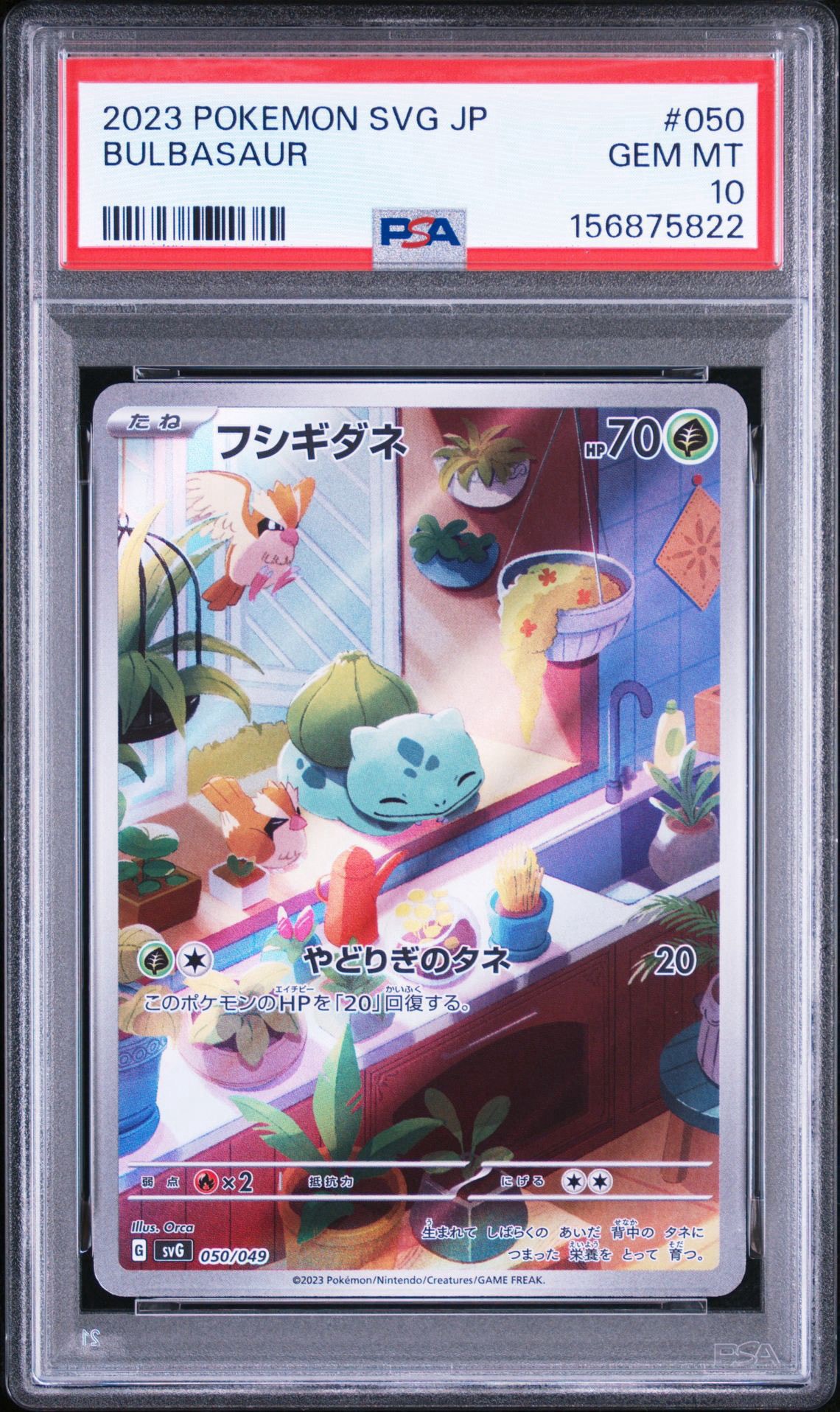 フシギダネ :フルイラスト [SVG 050/049](スペシャルデッキセットex
