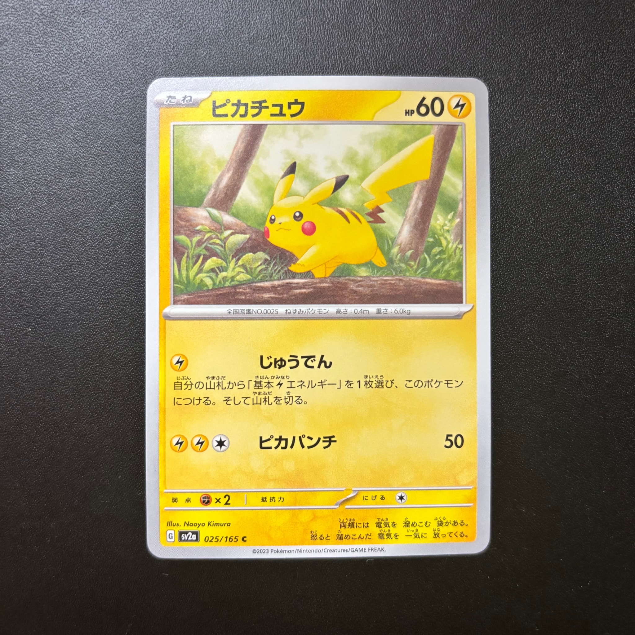 PSA10】ピカチュウ C: マスターボールミラー (マスボピカチュウ) [SV2a