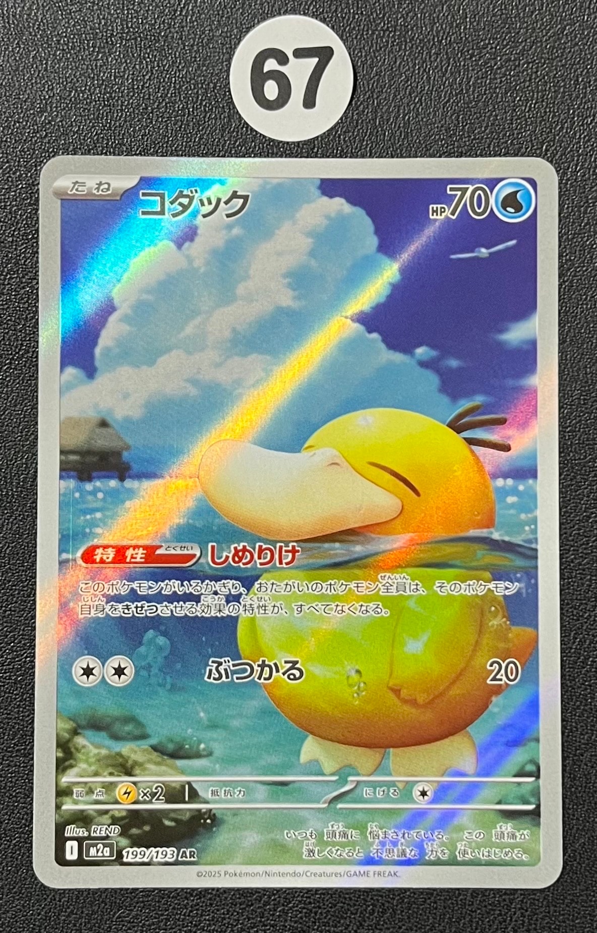 コダック AR [M2a 199/193](ハイクラスパック「MEGAドリームex」)