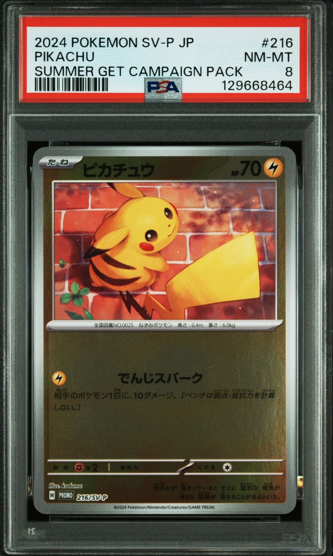ピカチュウ P [SV-P 216](プロモカードパック「ポケカの夏がキタ