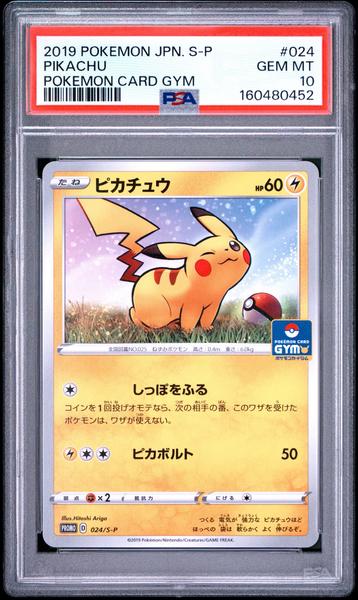 ピカチュウ: プロモ P [S-P 024](ポケモンカードゲーム ソード