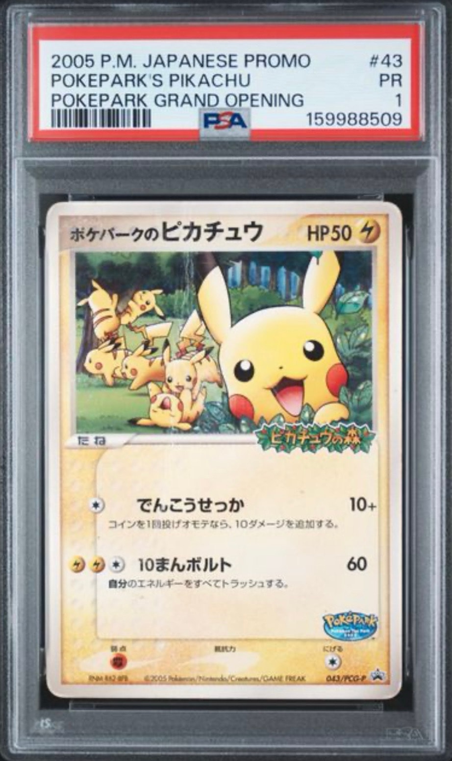 ポケパークのピカチュウ P [PCG-P 043](プロモーションカード