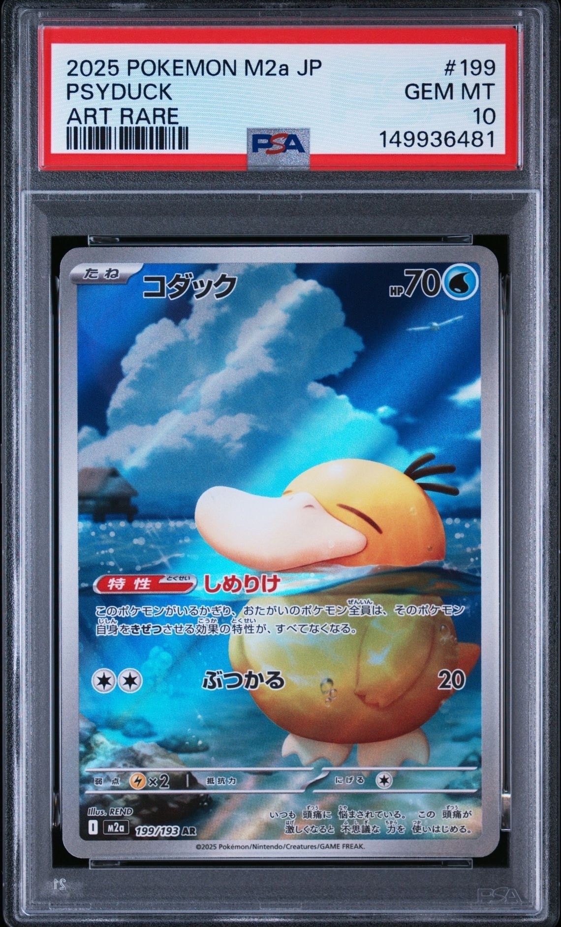 コダック AR [M2a 199/193](ハイクラスパック「MEGAドリームex」)