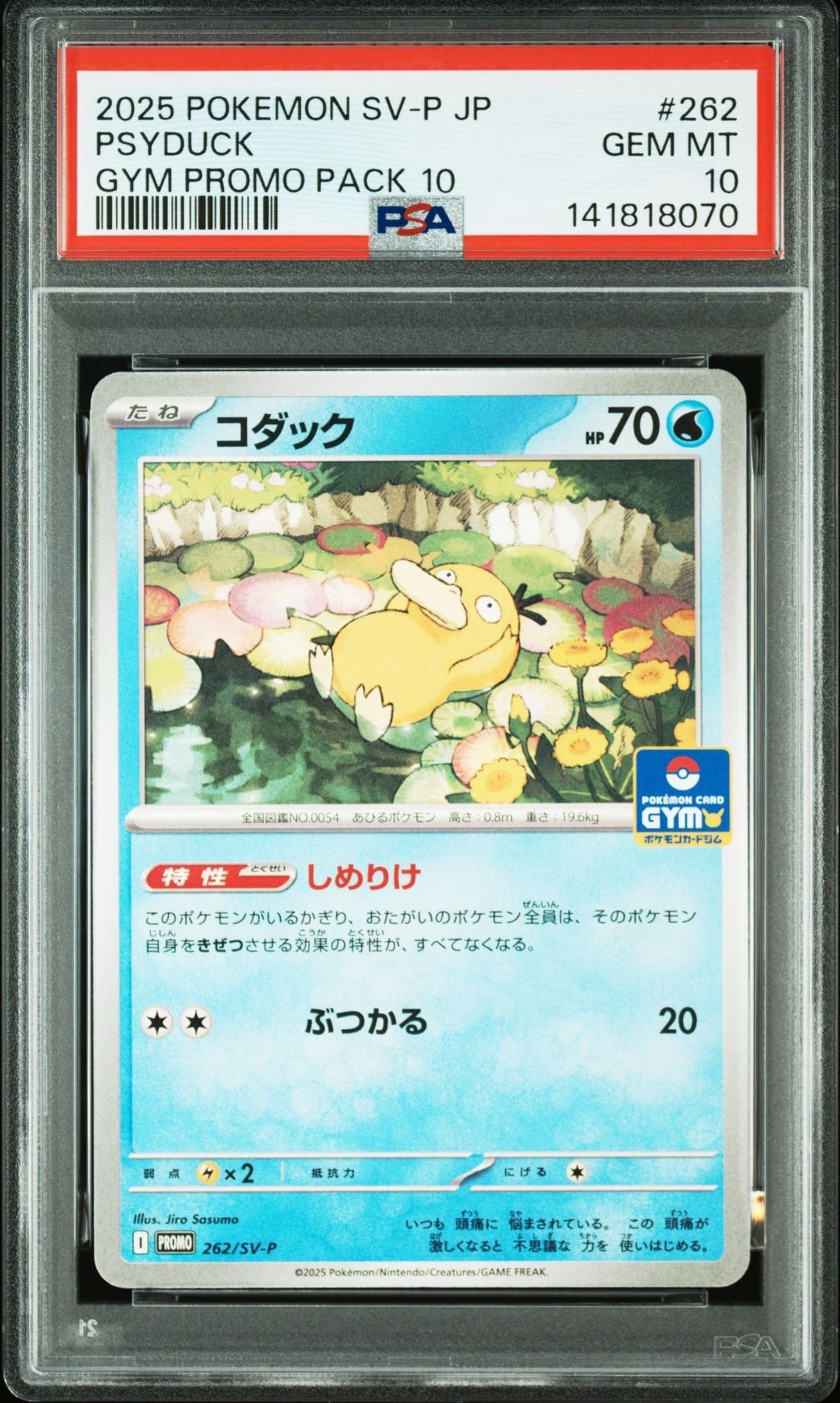 コダック P [SV-P 262](プロモカードパック「第10弾」)