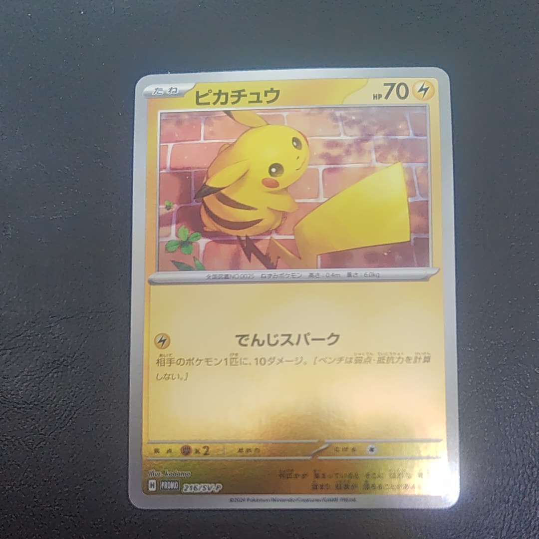 ピカチュウ P [SV-P 216](プロモカードパック「ポケカの夏がキタ!プロモカードGetキャンペーン!」)