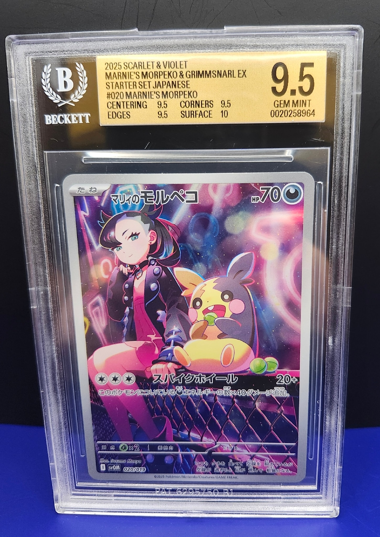 PSA10】マリィのモルペコ [SVOM 020/019](スターターセットex「マリィ