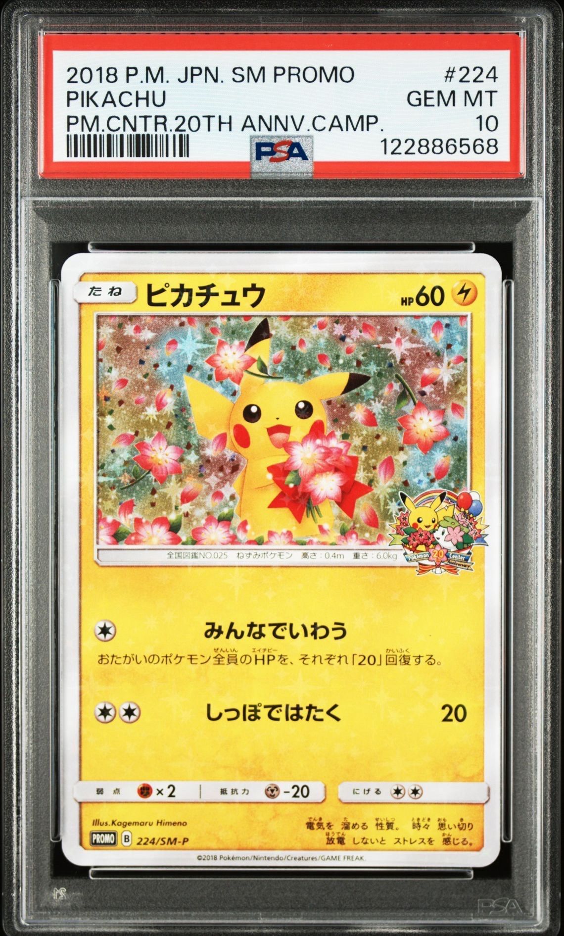 ピカチュウ: プロモ[SM-P 224](プロモーションカード「SM-P」)
