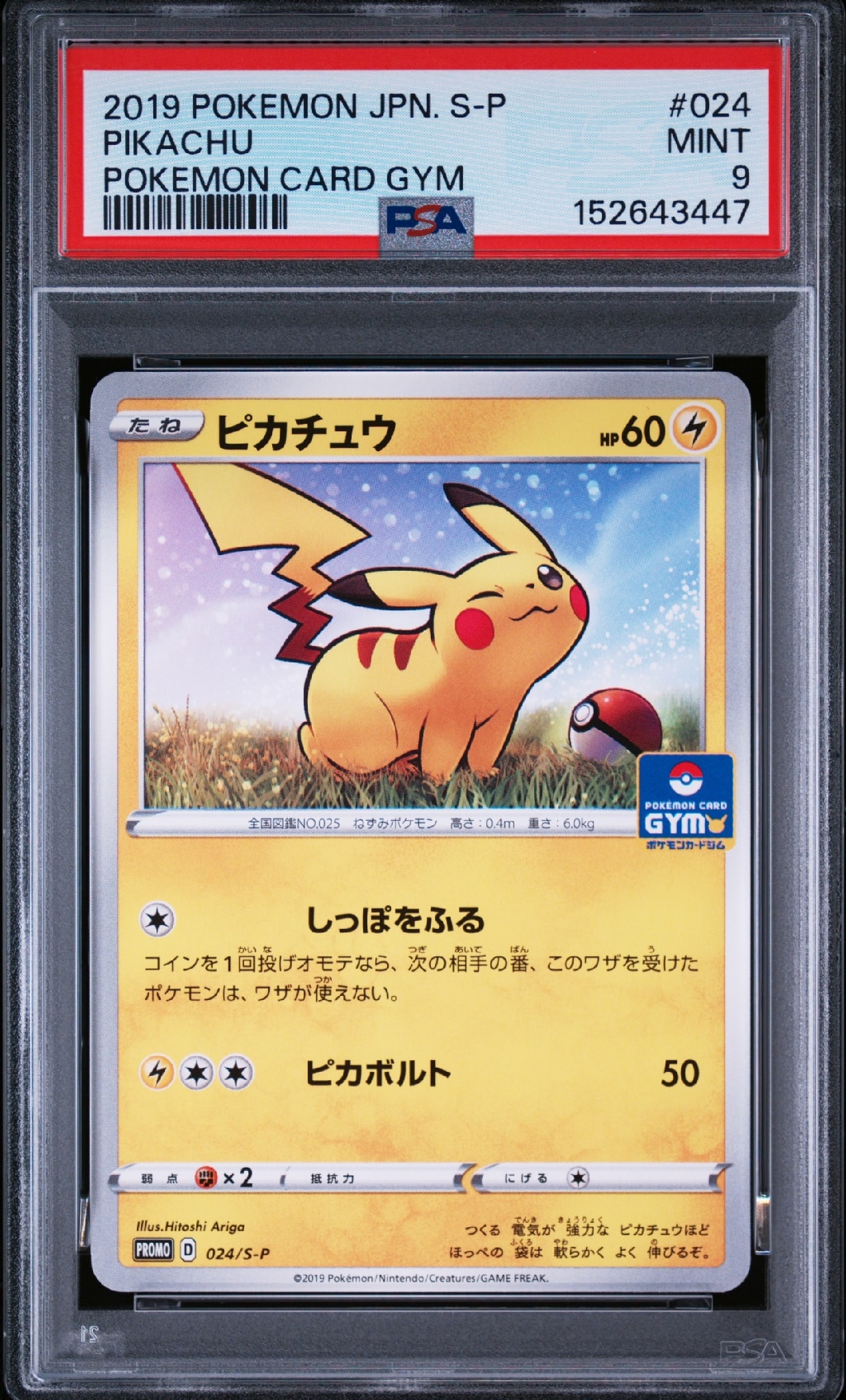 PSA8以下】ピカチュウ: プロモ P [S-P 024](ポケモンカードゲーム