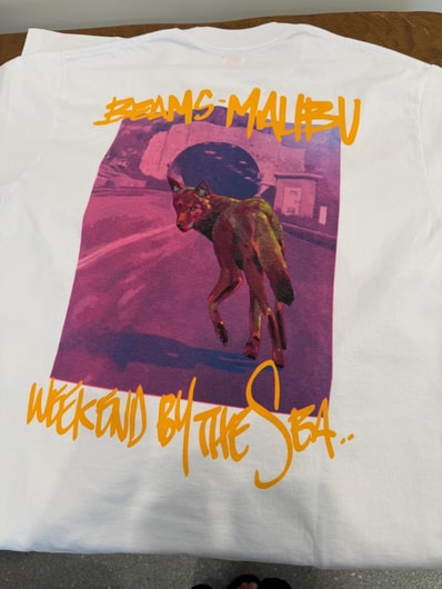 【新品】SAGE VAUGHN x BEAMS Malibu T-ShirtWHITE / M 新規オープン当日購入 店舗限定 アメリカ限定