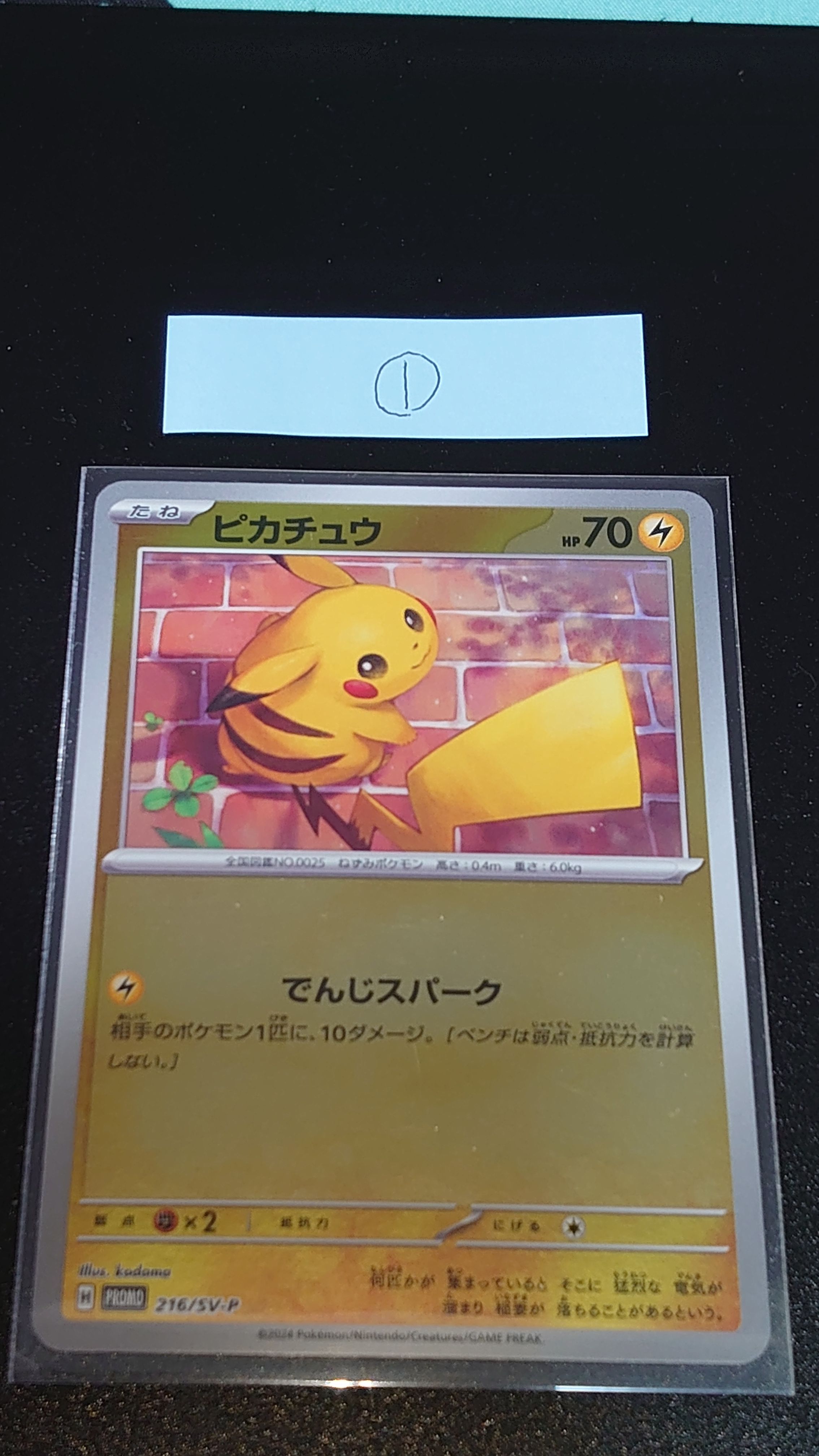 ピカチュウ P [SV-P 216](プロモカードパック「ポケカの夏がキタ!プロモカードGetキャンペーン!」)