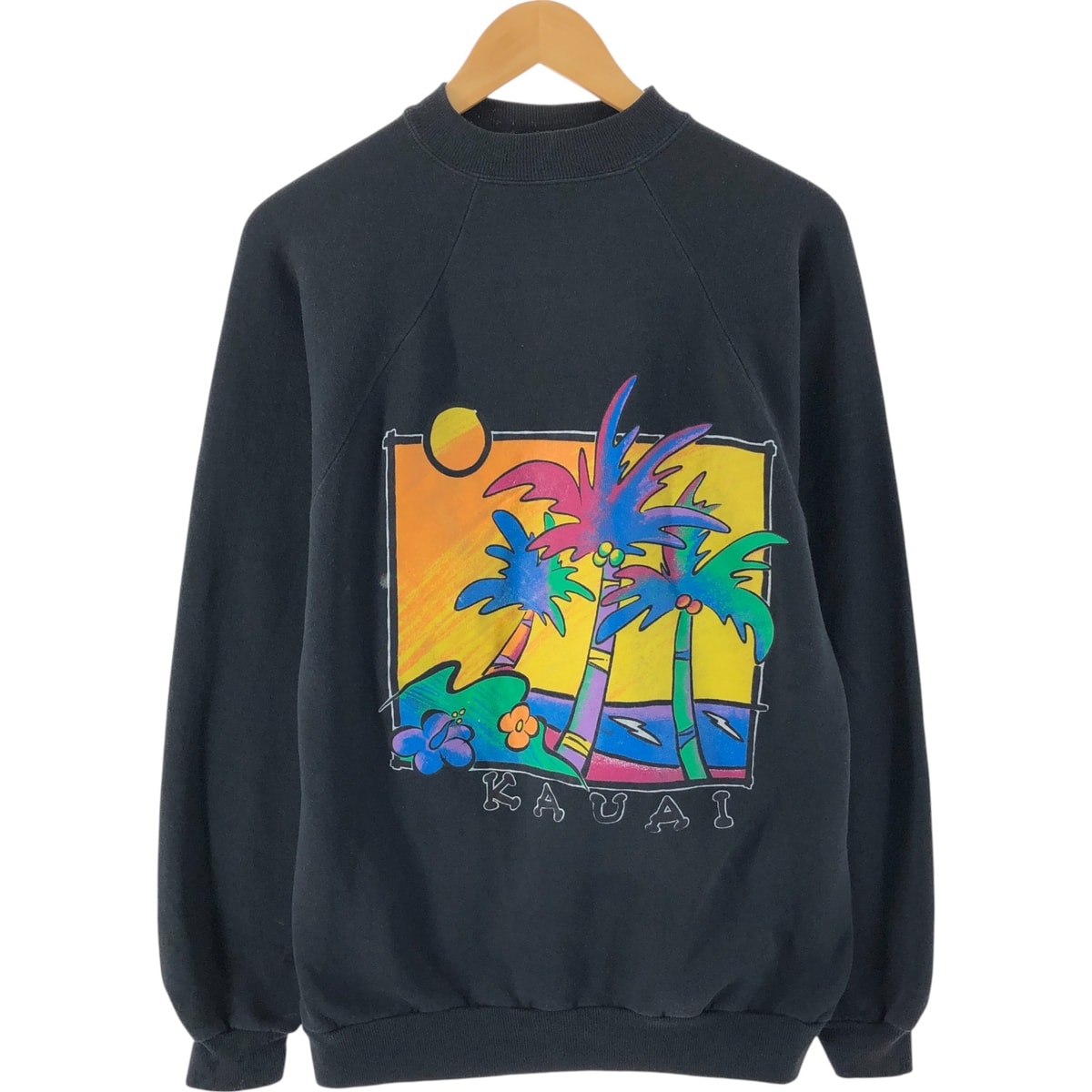 古着 90~00年代 ヘインズ Hanes ACTIVEWEAR プリントスウェットシャツ トレーナー メンズXL相当 ヴィンテージ/eaa531543