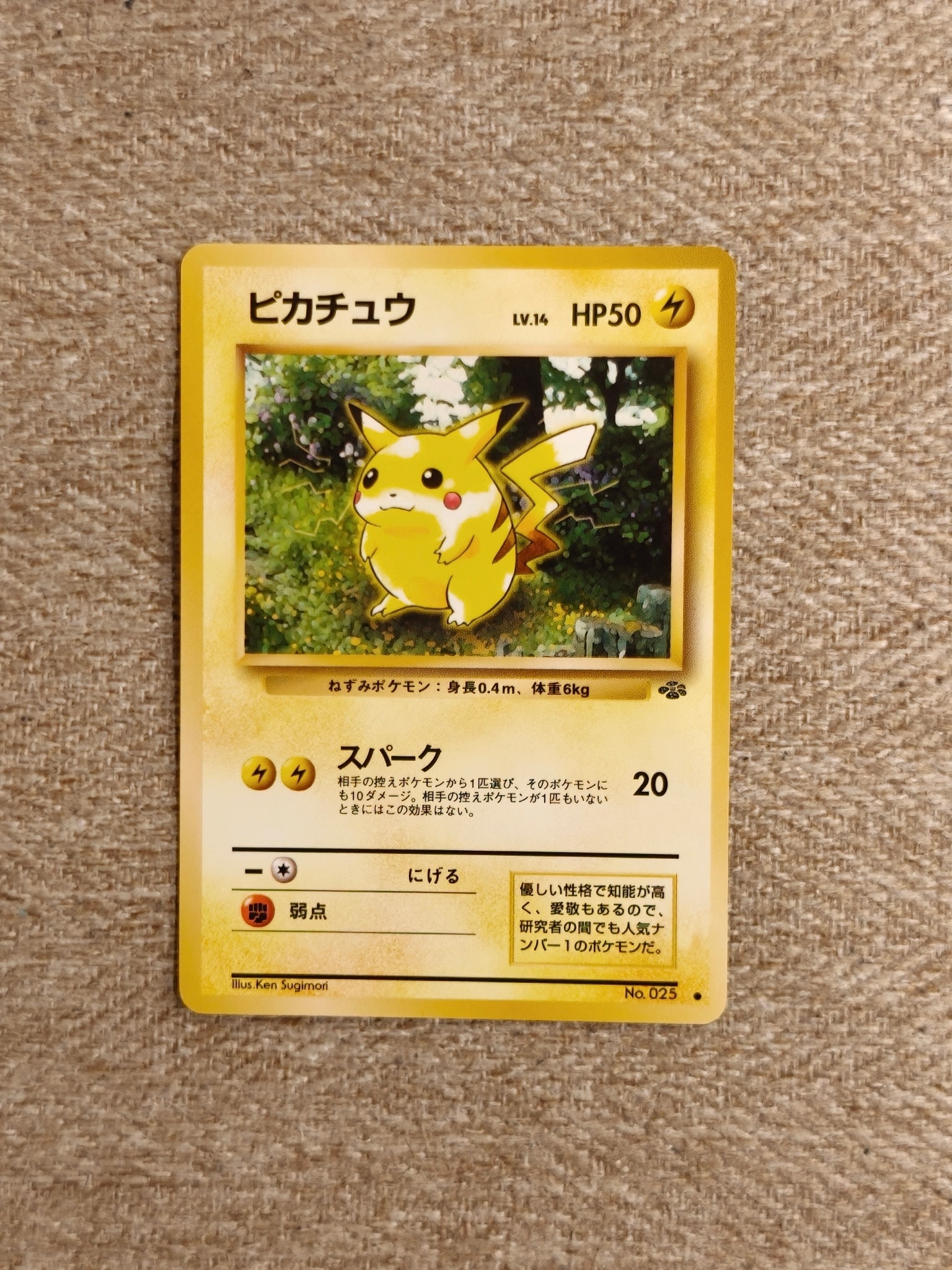 ピカチュウ ○ : 旧裏 [PMCG2 No.025](拡張パック「ポケモンジャングル