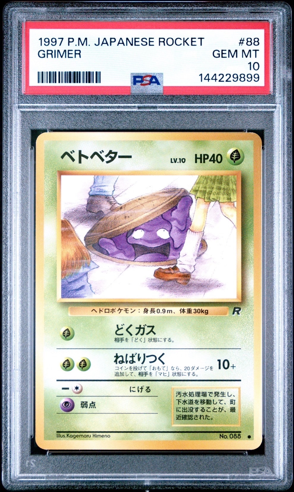 PSA10】ベトベター ○ 旧裏 PMCG4 No.088 ロケット団