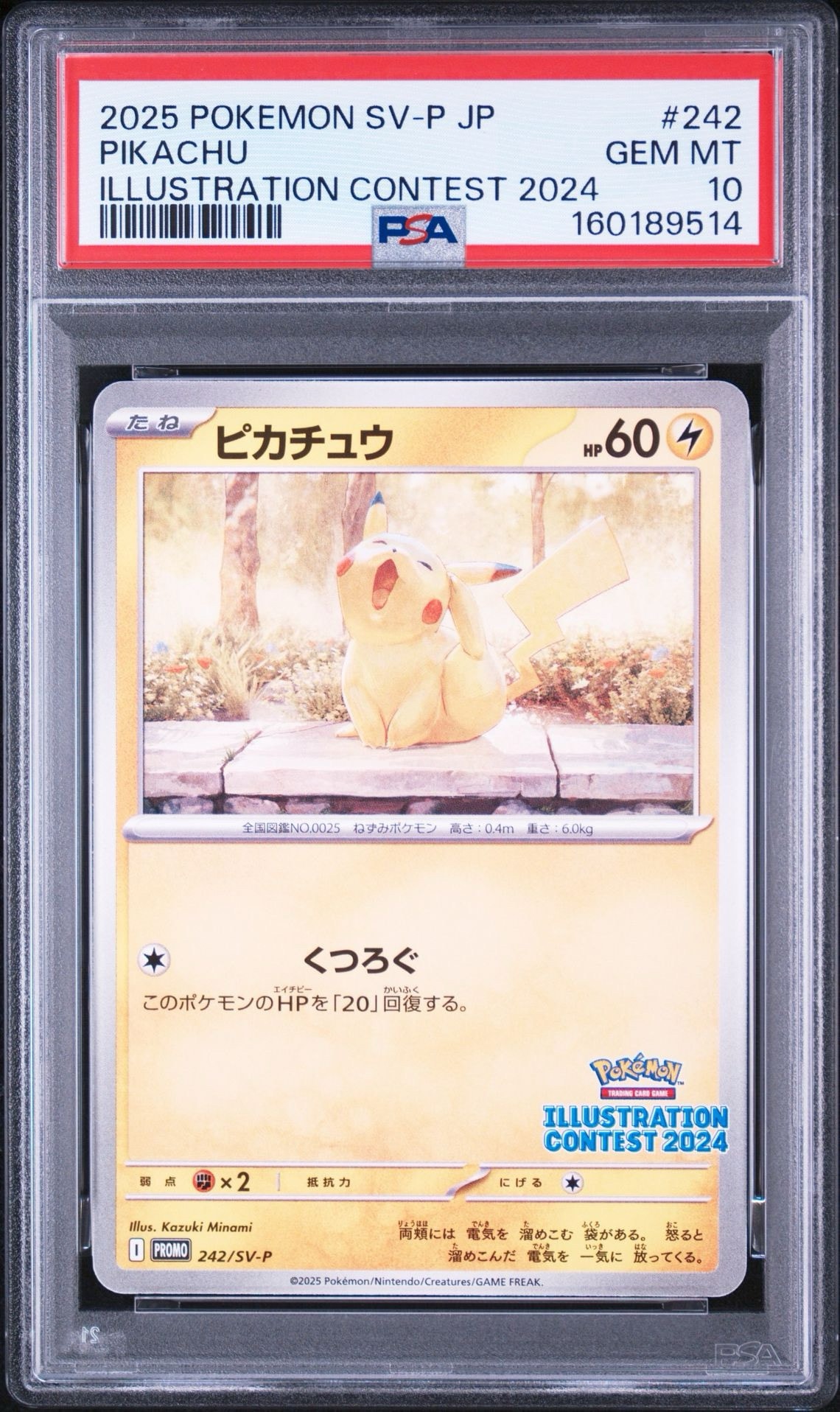 ピカチュウ [SV-P 242](プロモカードパック「イラストレーション