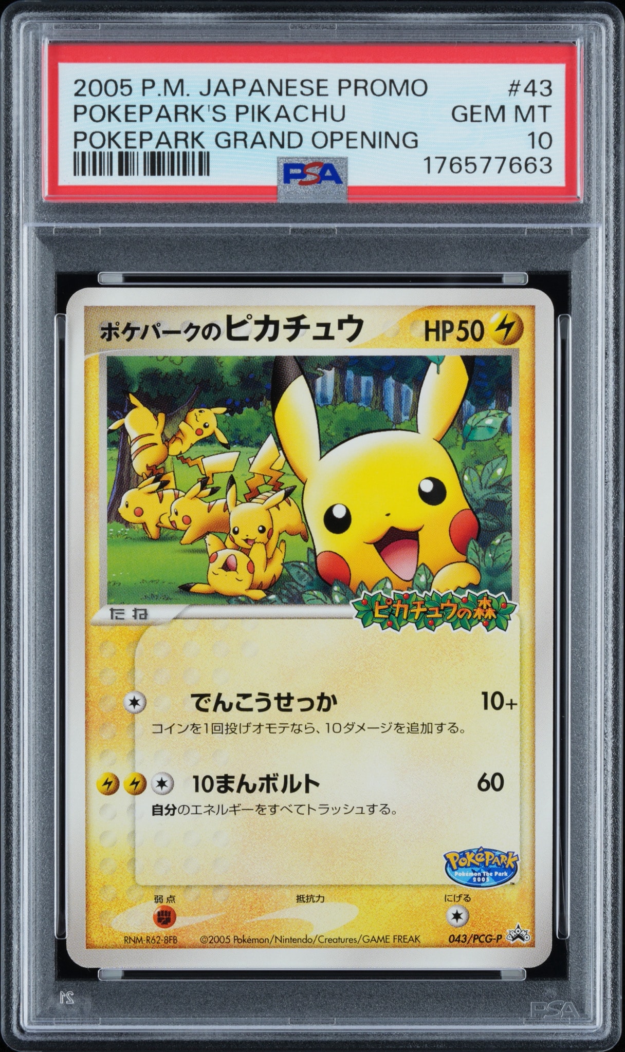 ポケパークのピカチュウ P [PCG-P 043](プロモーションカード「ポケパーク ルギアのくるくるシップ」)