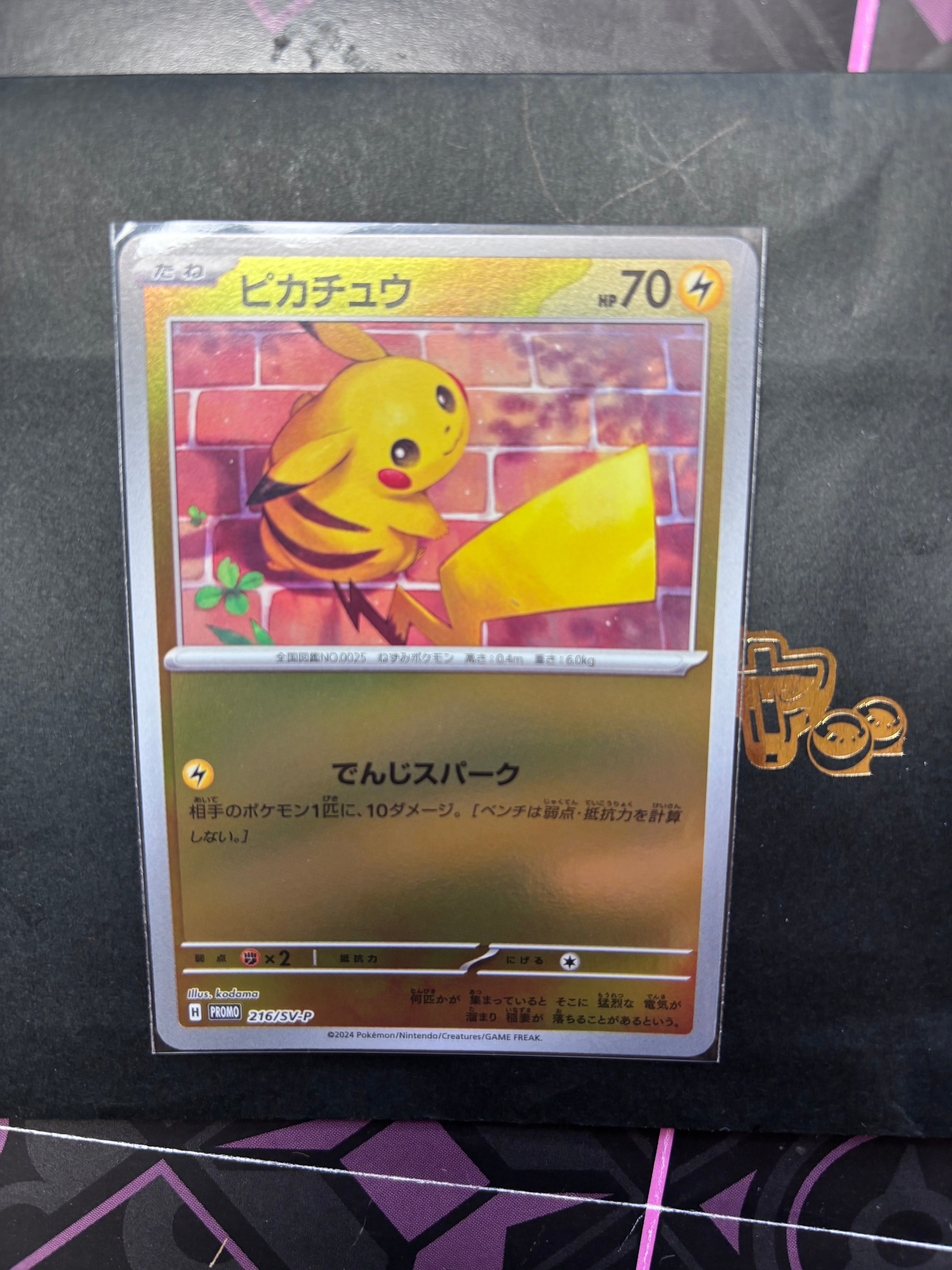 PSA10】ピカチュウ P [SV-P 216](プロモカードパック「ポケカの夏が