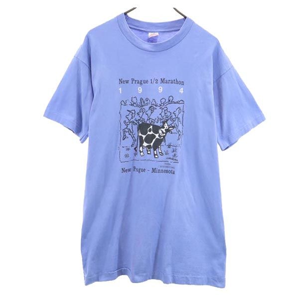 FRUIT OF THE LOOM フルーツオブザルーム 90s オールド USA製 半袖 Tシャツ L ブルー系
