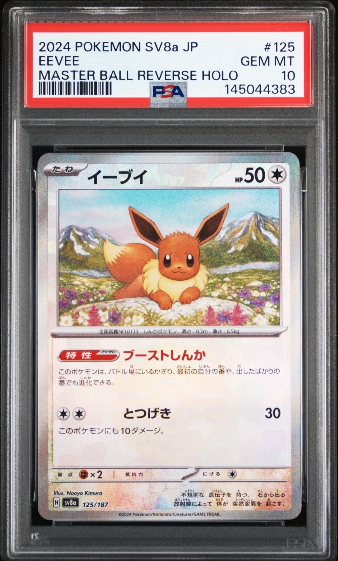 ポケモンカード リザードンex ランダム構築スターター 012/052 リザードンex[PCGRS 012/052](ランダム構築スターター)の新品/中古