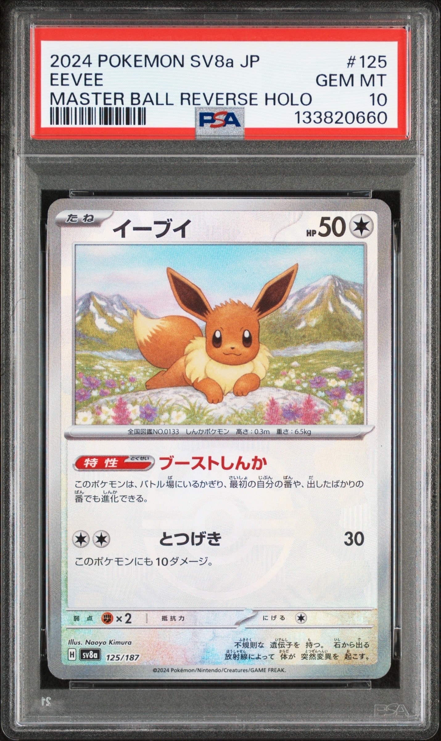 イーブイ :マスターボールミラー [SV8a 125/187](ハイクラスパック「テラスタルフェスex」)