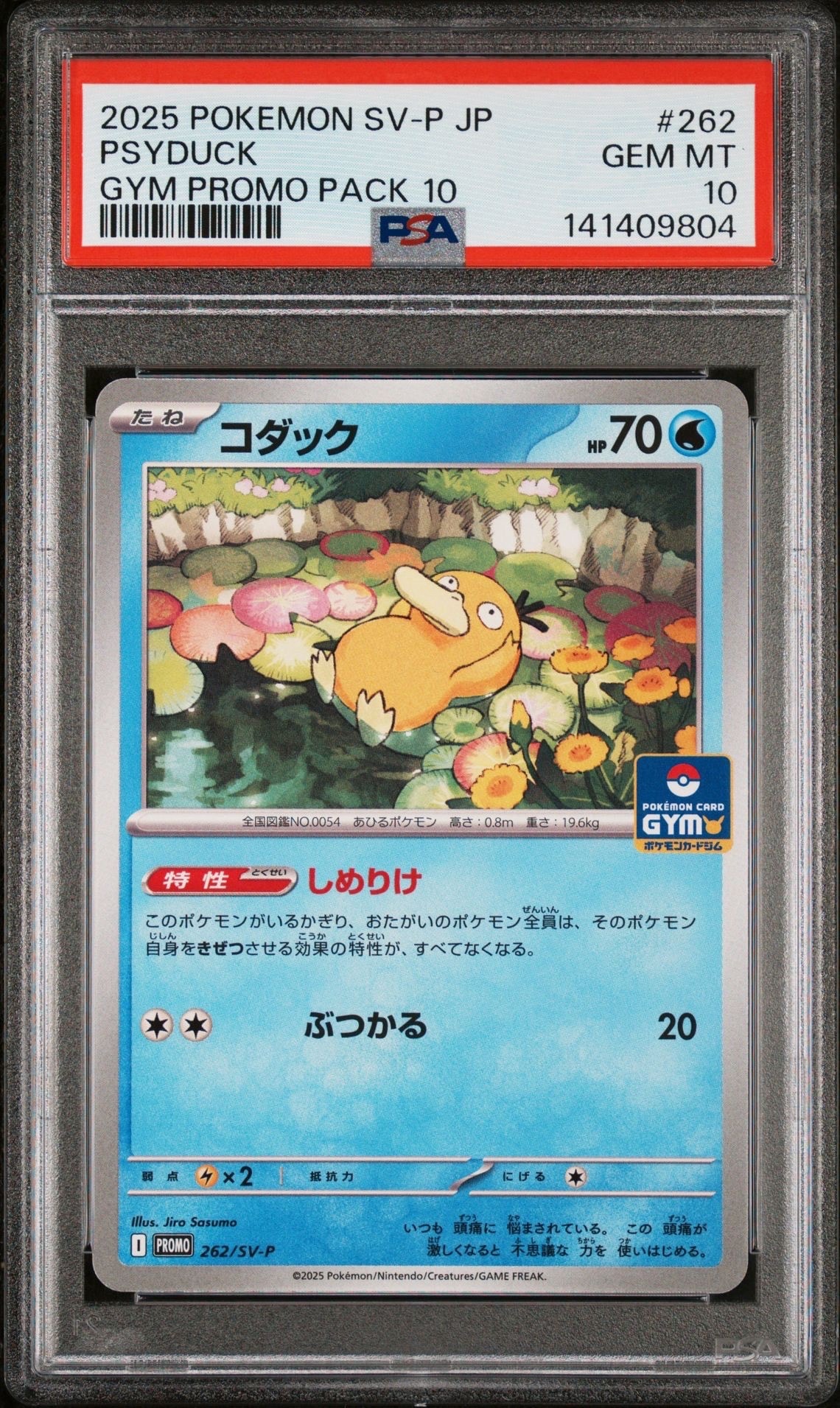 コダック P [SV-P 262](プロモカードパック「第10弾」)