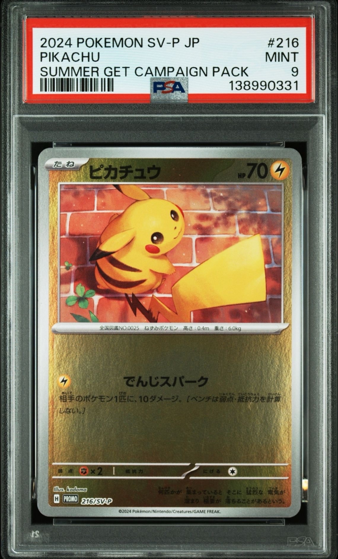 ピカチュウ P [SV-P 216](プロモカードパック「ポケカの夏がキタ!プロモカードGetキャンペーン!」)