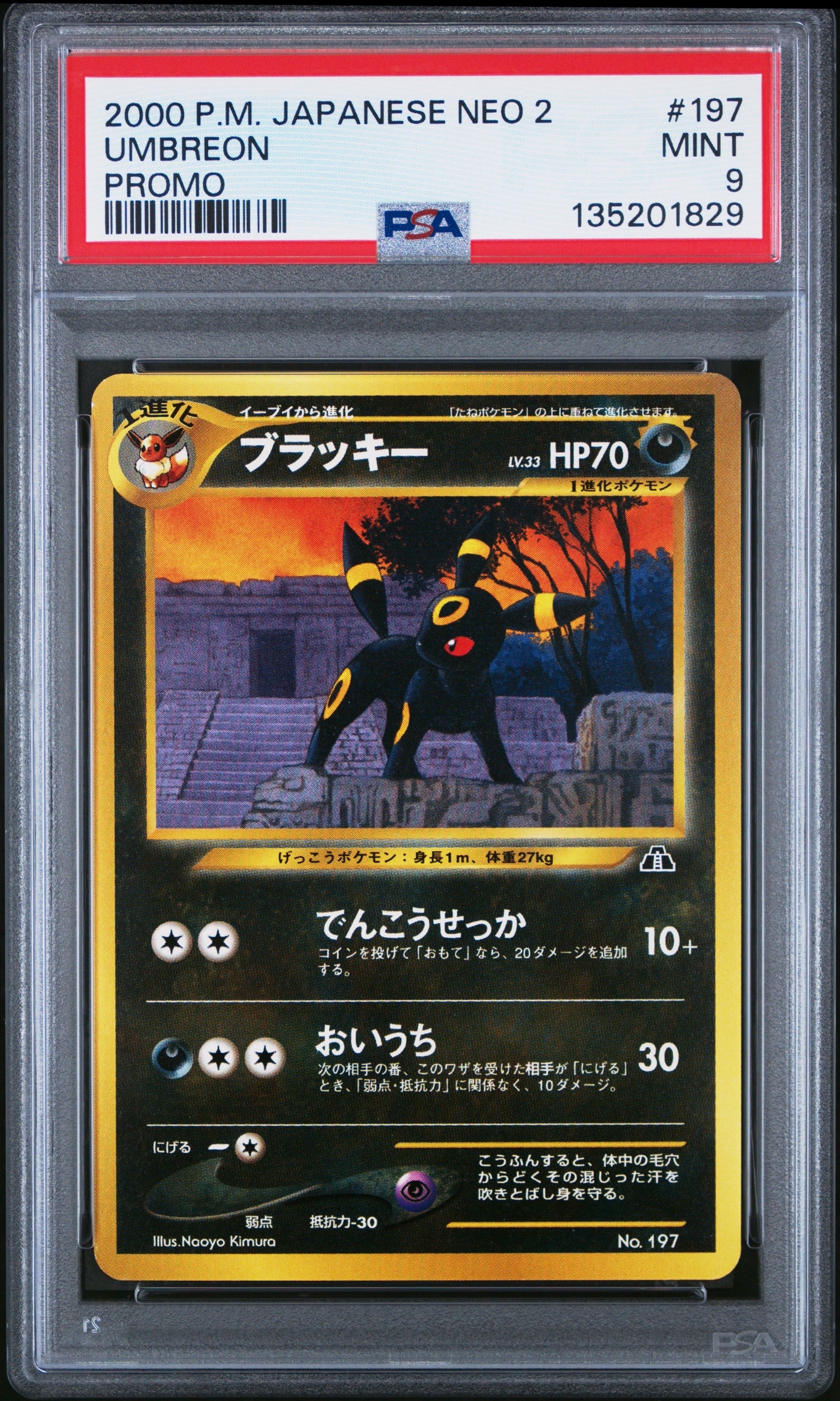 ブラッキープレミアムファイル2: 旧裏[neoP2 No.197](プレミアムファイル2)