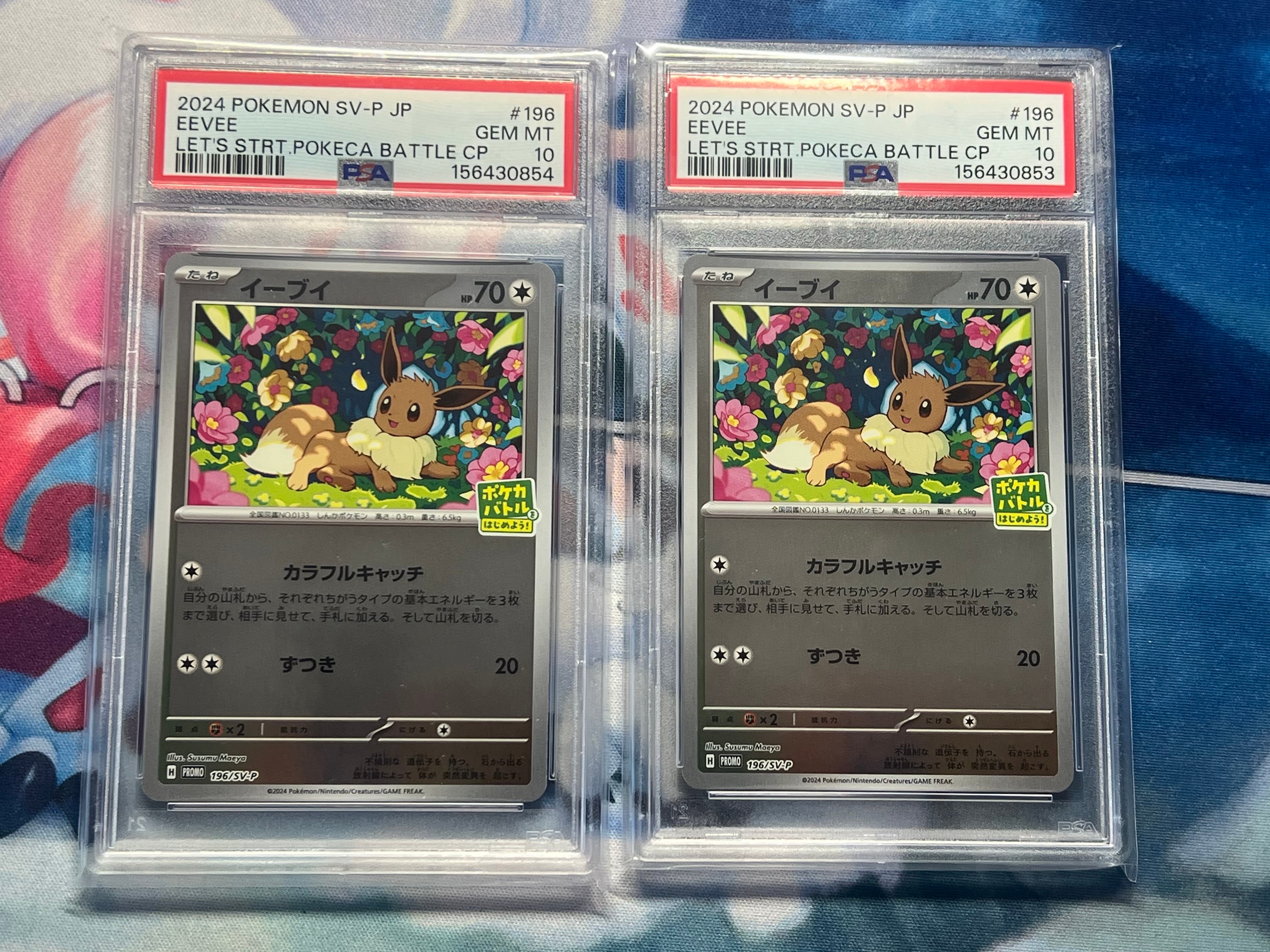 イーブイ P [SV-P-SM 196](プロモカードパック「ポケカバトルをはじめよう!キャンペーン」)