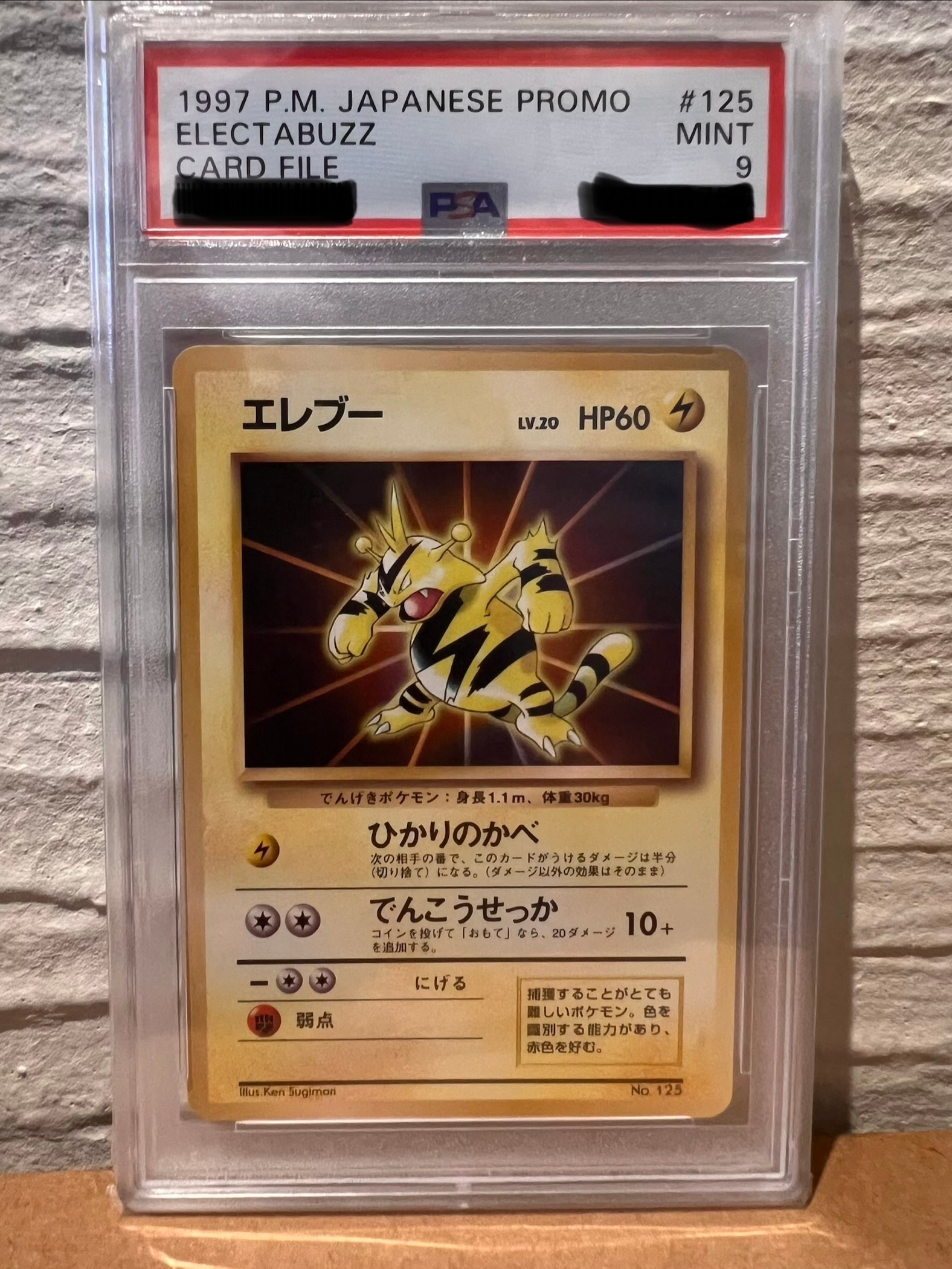 エレブー P : 旧裏 [PMCG-P No.125](プロモーションカード「公式カードファイル」)