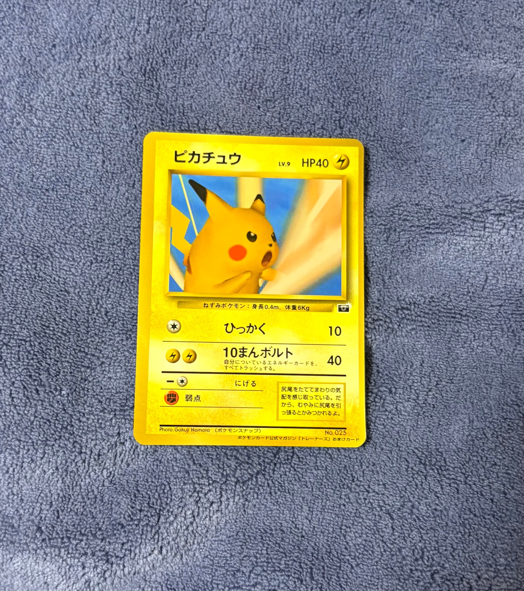 ピカチュウ P : 旧裏 [PMCG-P No.025](プロモーションカード「ポケモンカードトレーナーズVol.1」)