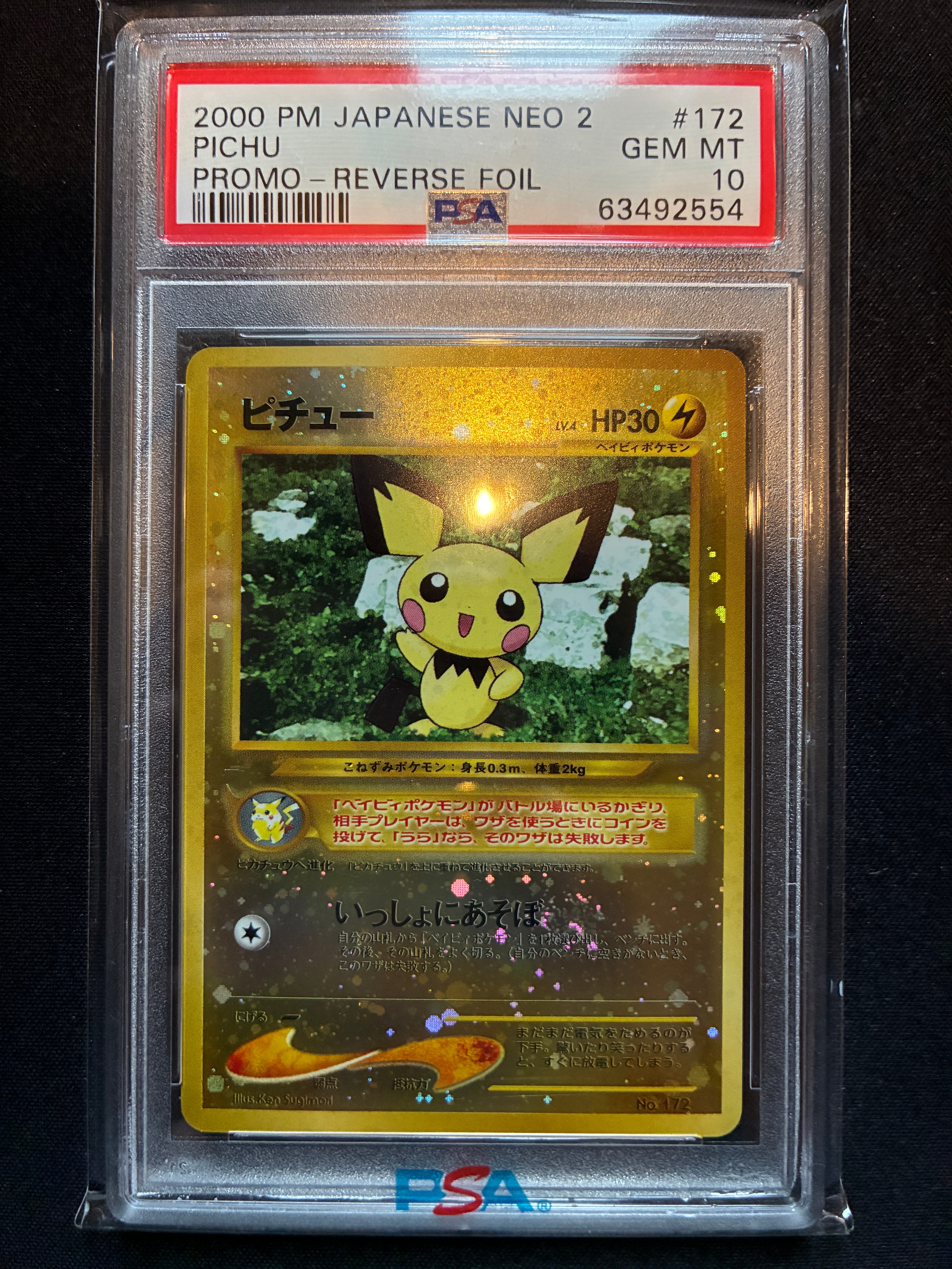 ピチュープレミアムファイル2: 旧裏[neoP2 No.172](プレミアムファイル2)