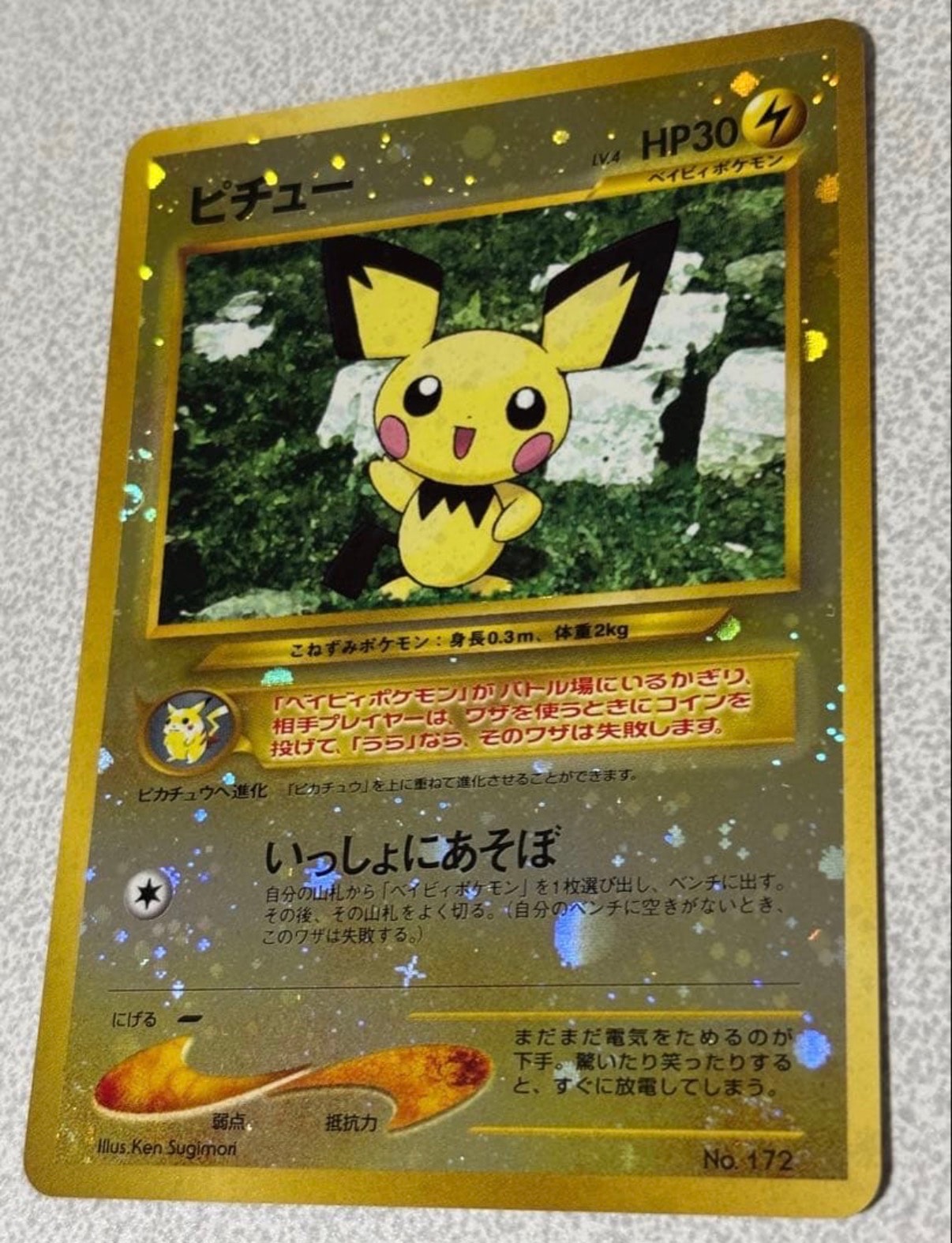 ピチュープレミアムファイル2: 旧裏[neoP2 No.172](プレミアムファイル2)