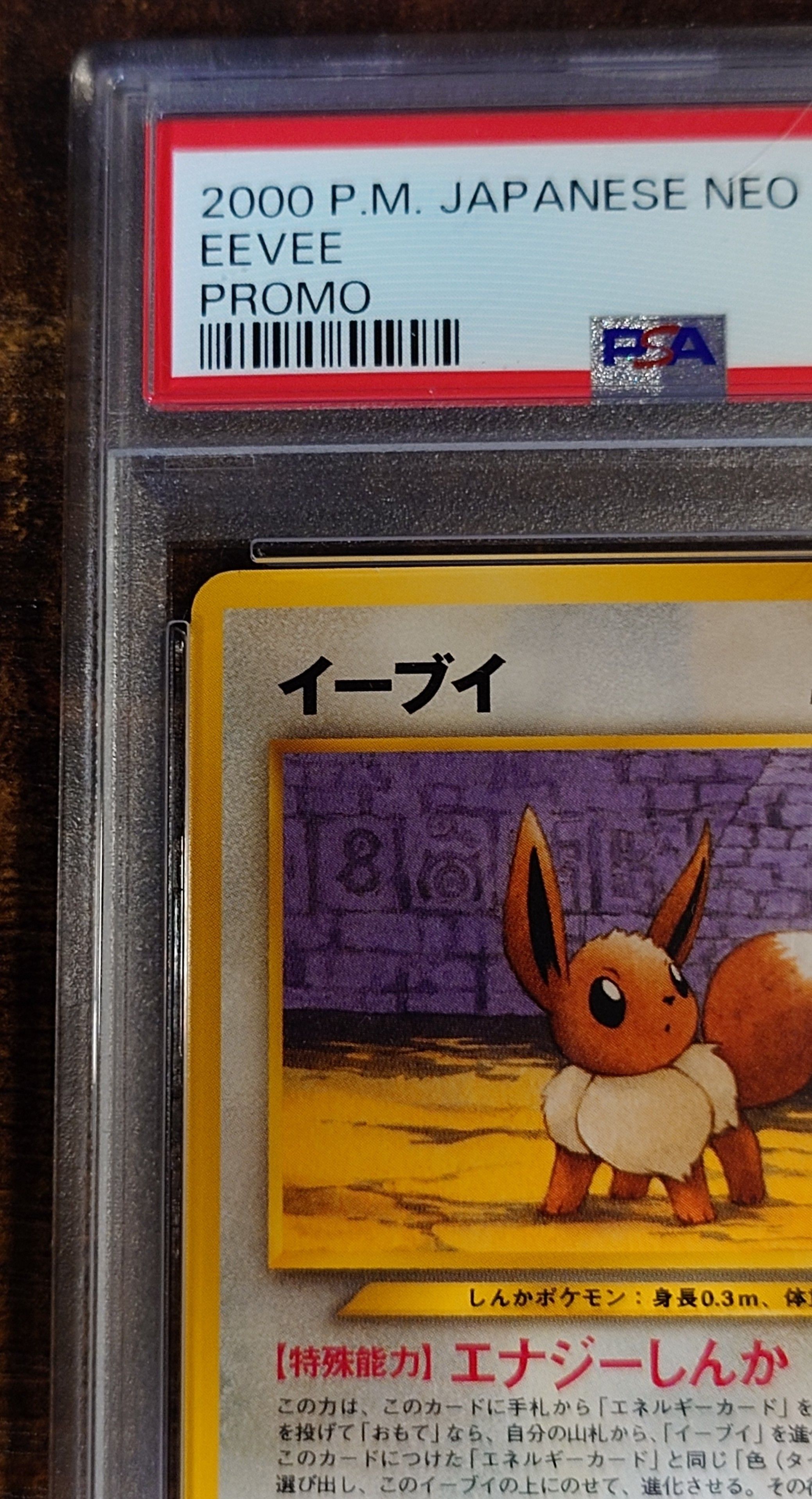 PSA 10]Eevee Premium File 2: Old Back[neoP2 No.133](Premium File 2