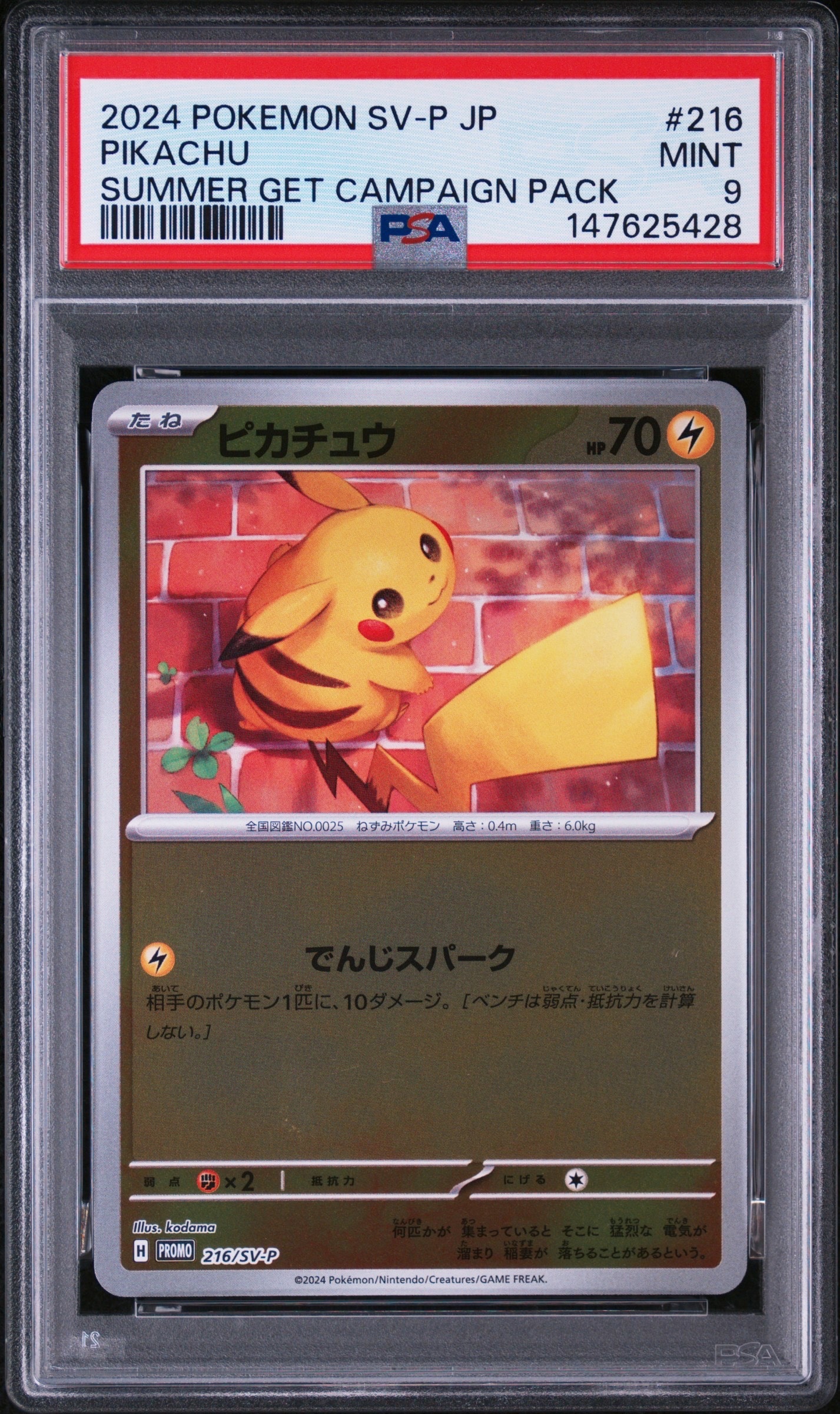 PSA10】ピカチュウ P [SV-P 216](プロモカードパック「ポケカの夏が