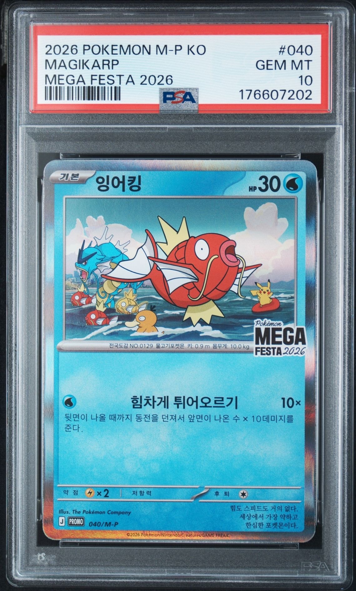 コイキング プロモ [040/M-P]【韓国語版】(プロモーションカード「ポケモン メガフェスタ2026 プロモカードパック」)