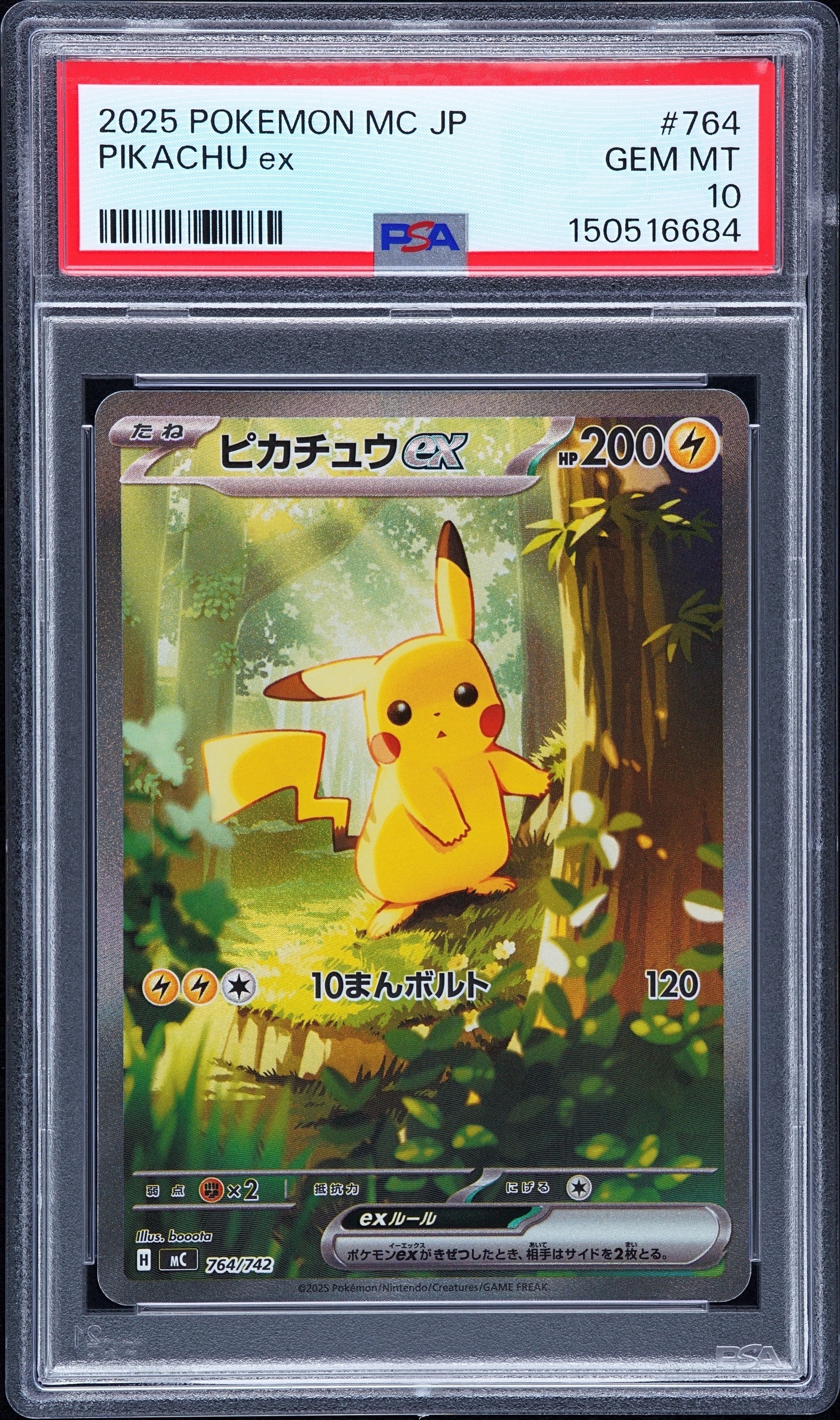 ピカチュウ P [BW-P 229/BW-P](プロモーションカード「ポケモン