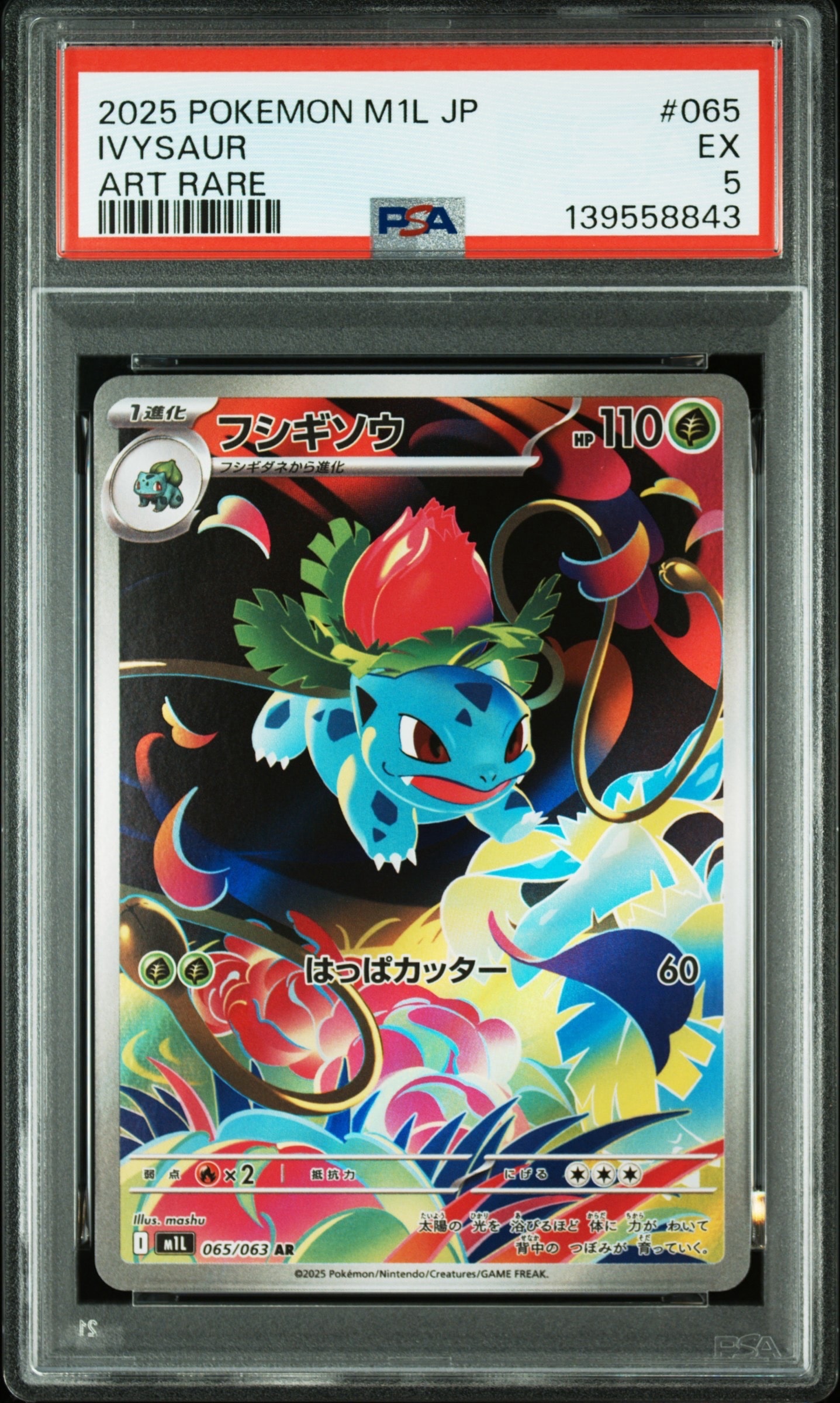 フシギソウ AR [M1L 065/063](拡張パック「メガブレイブ」)の新品/中古